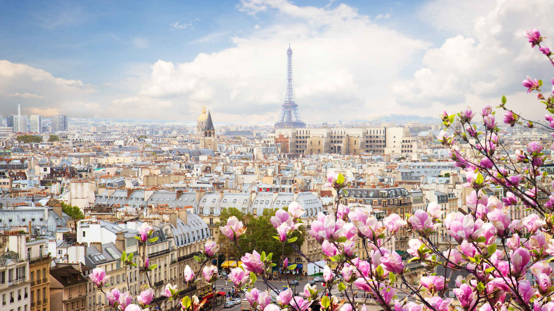 法国 巴黎 埃尔法铁塔高清桌面壁纸下载