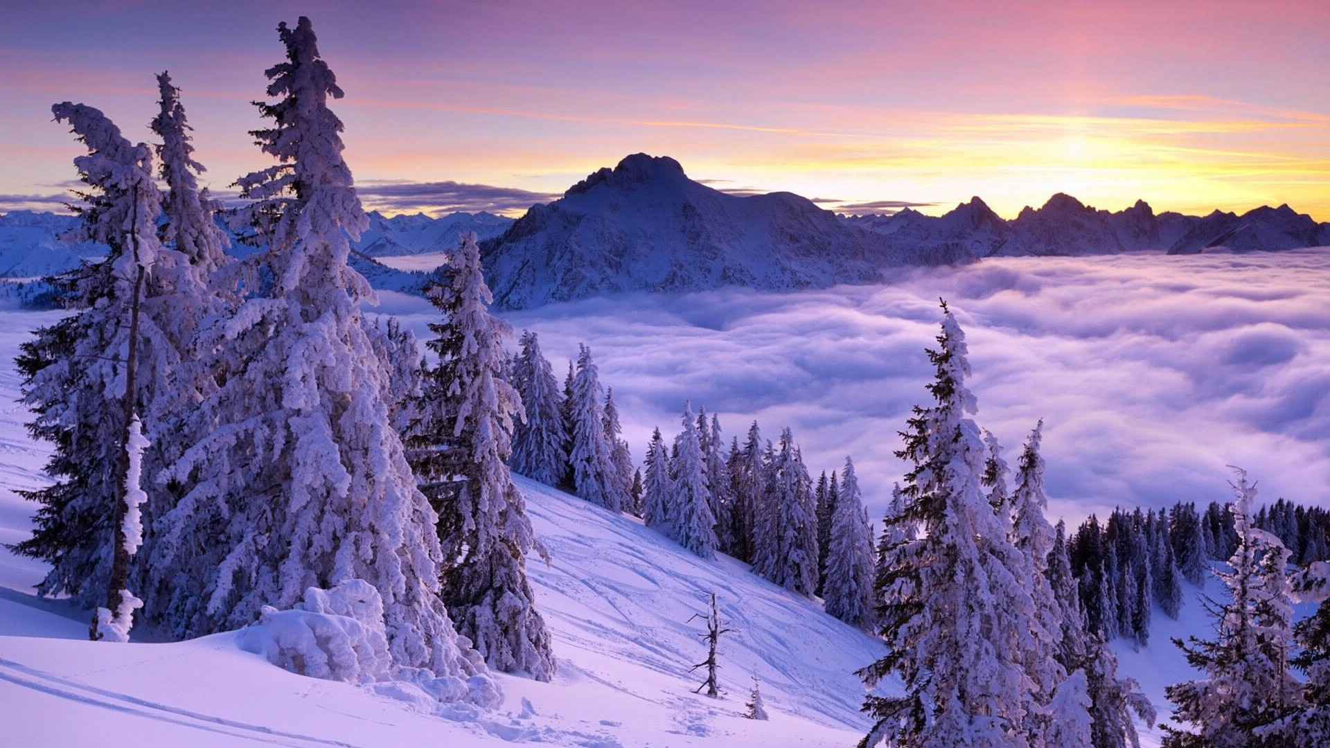 唯美雪景图片高清