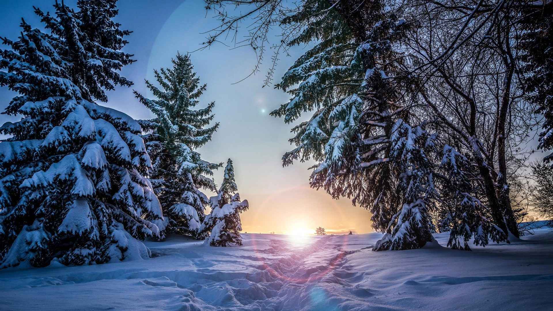 唯美雪景4k高清图片