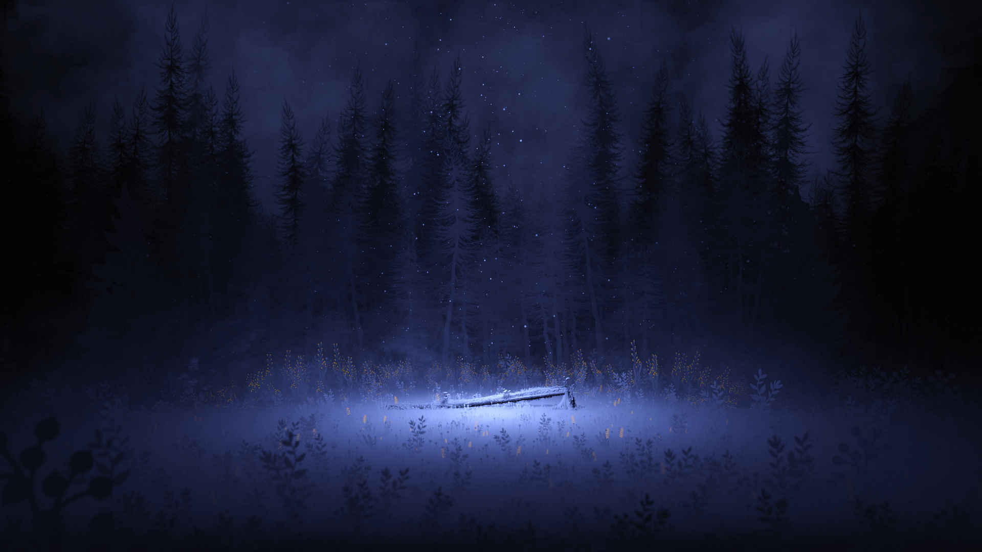 黑暗森林下的夜晚雪景冬日风情壁纸