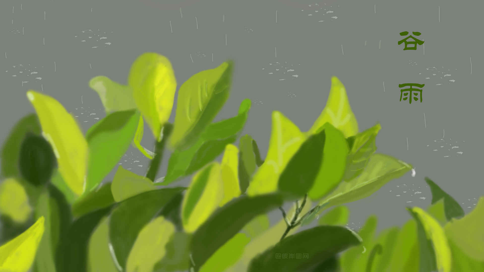 绿色叶子 雨水 4k护眼壁纸
