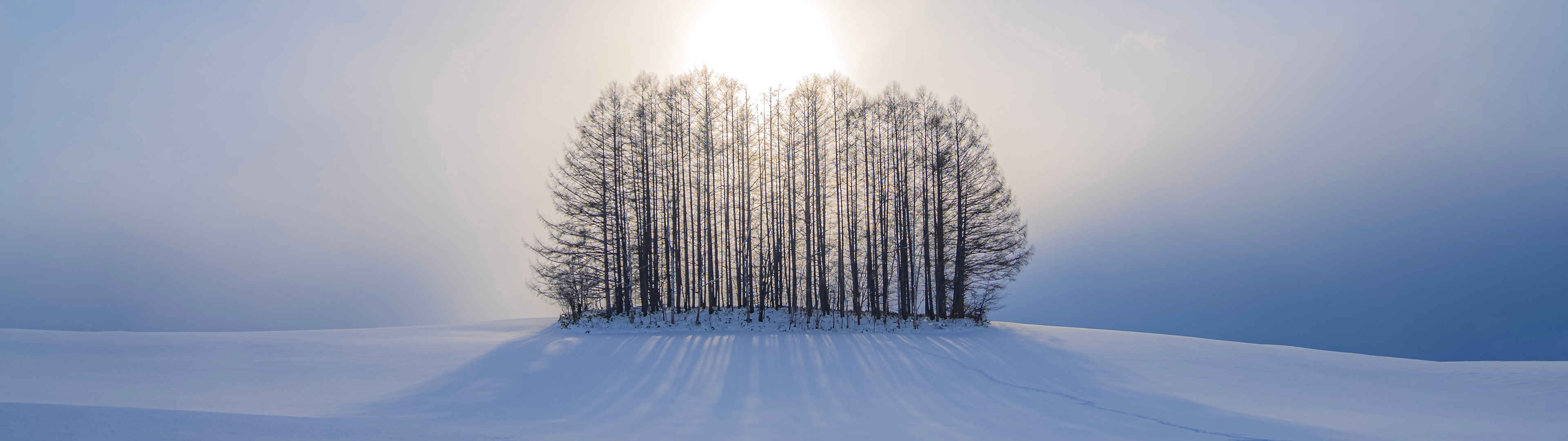 冬天 树 太阳3840x1080风景壁纸