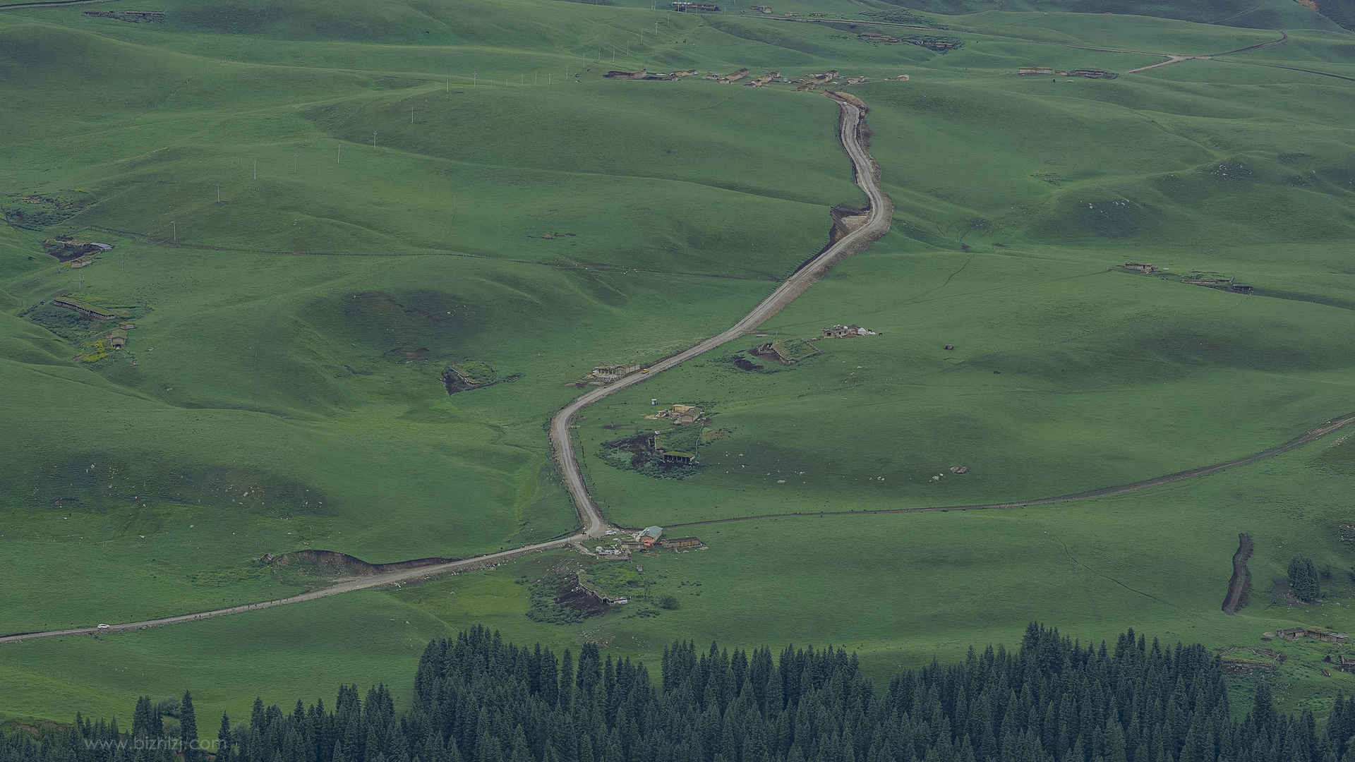 新疆伊犁琼库什台村落绿色大自然风景图片