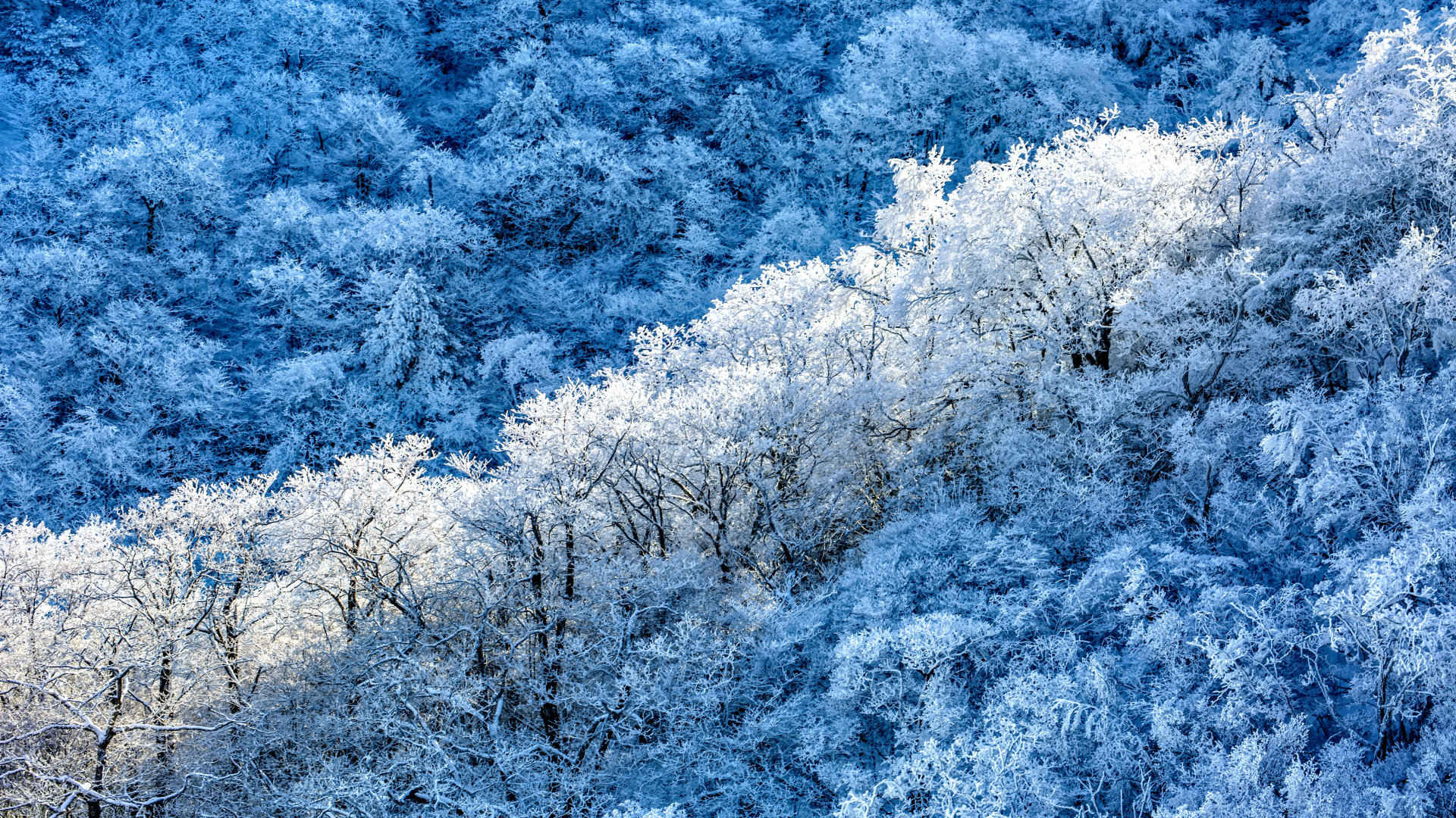 冬季的树林挂满了冰锥，白茫茫的冰封大山风景高清壁纸-