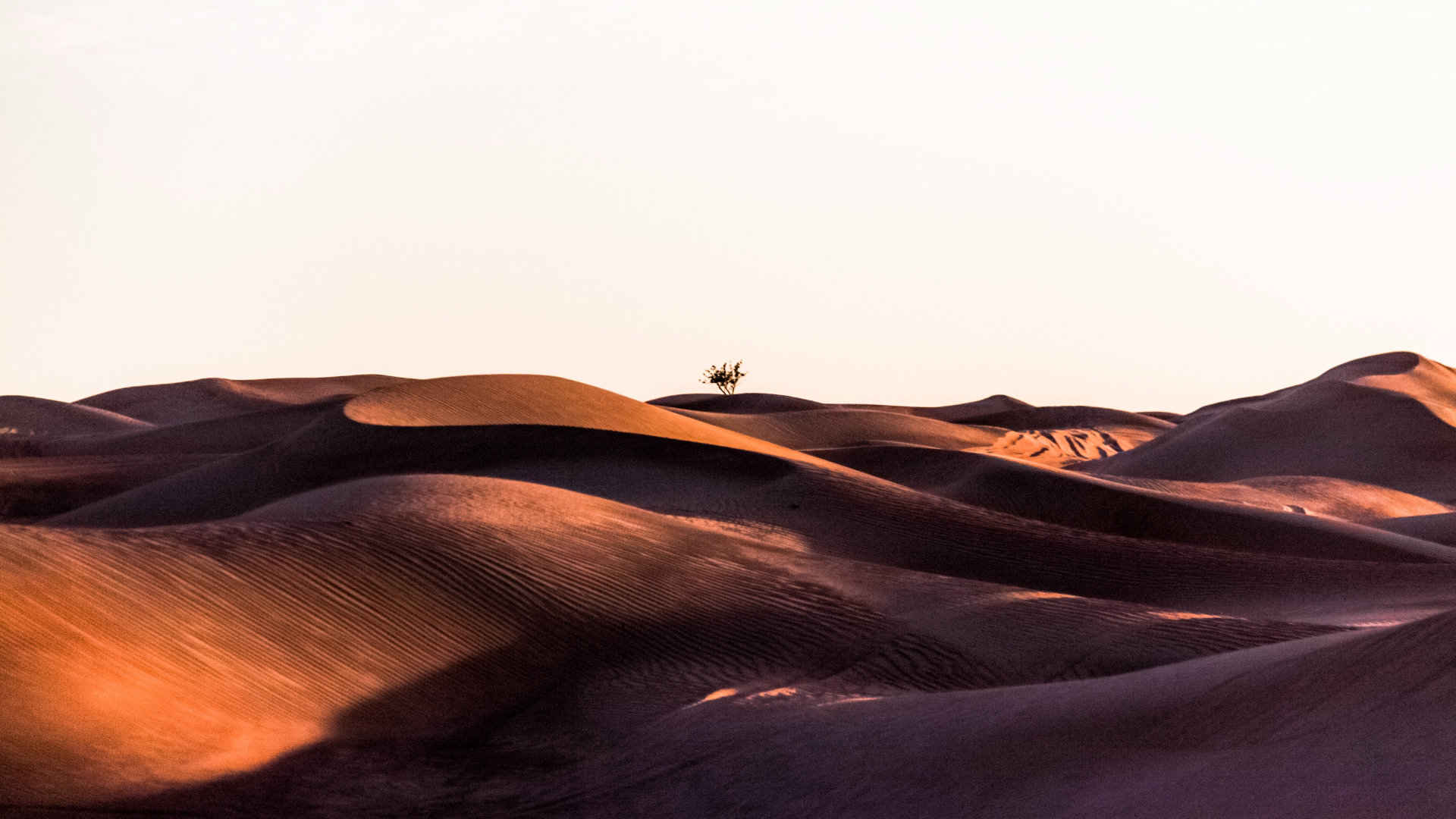 沙漠的小山丘的壁纸图片免费下载-