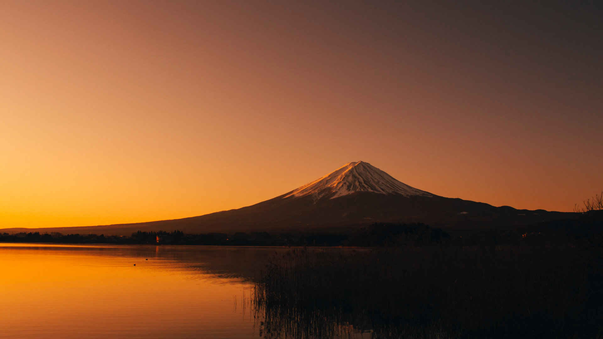 黄黄的画面下的富士山一样美-