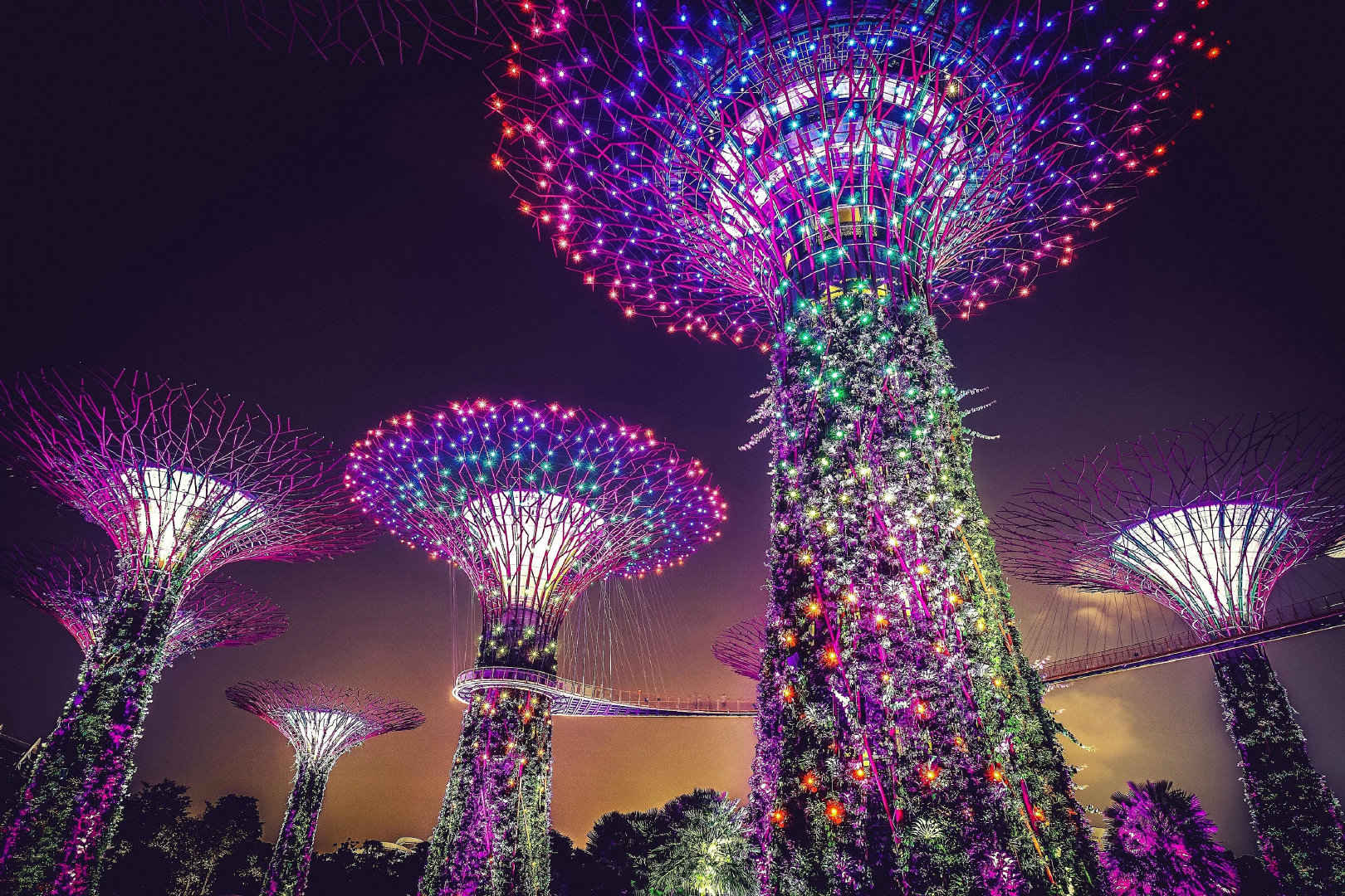 新加坡滨海湾花园超级树夜景壁纸-