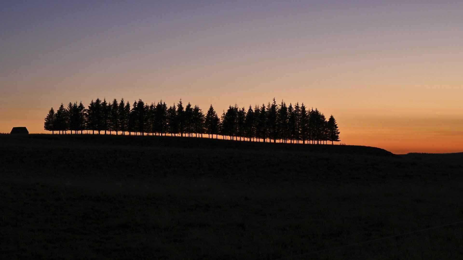 景观日落树木 地平线日出日落-