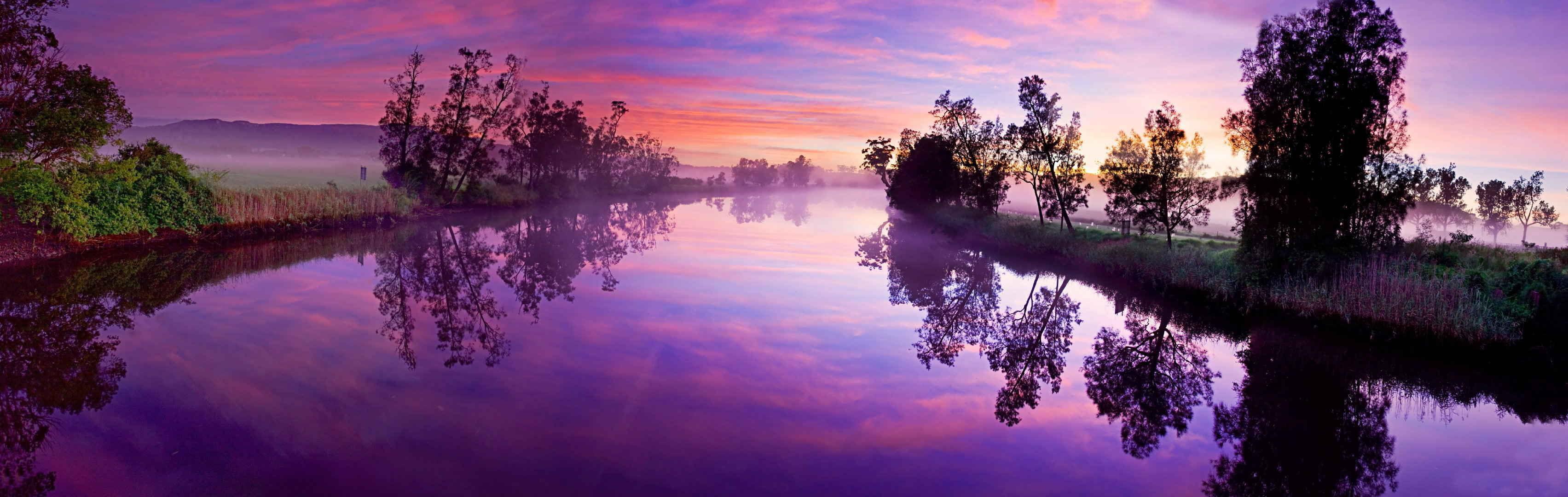 湿地 公园 河流 唯美 日落日出-