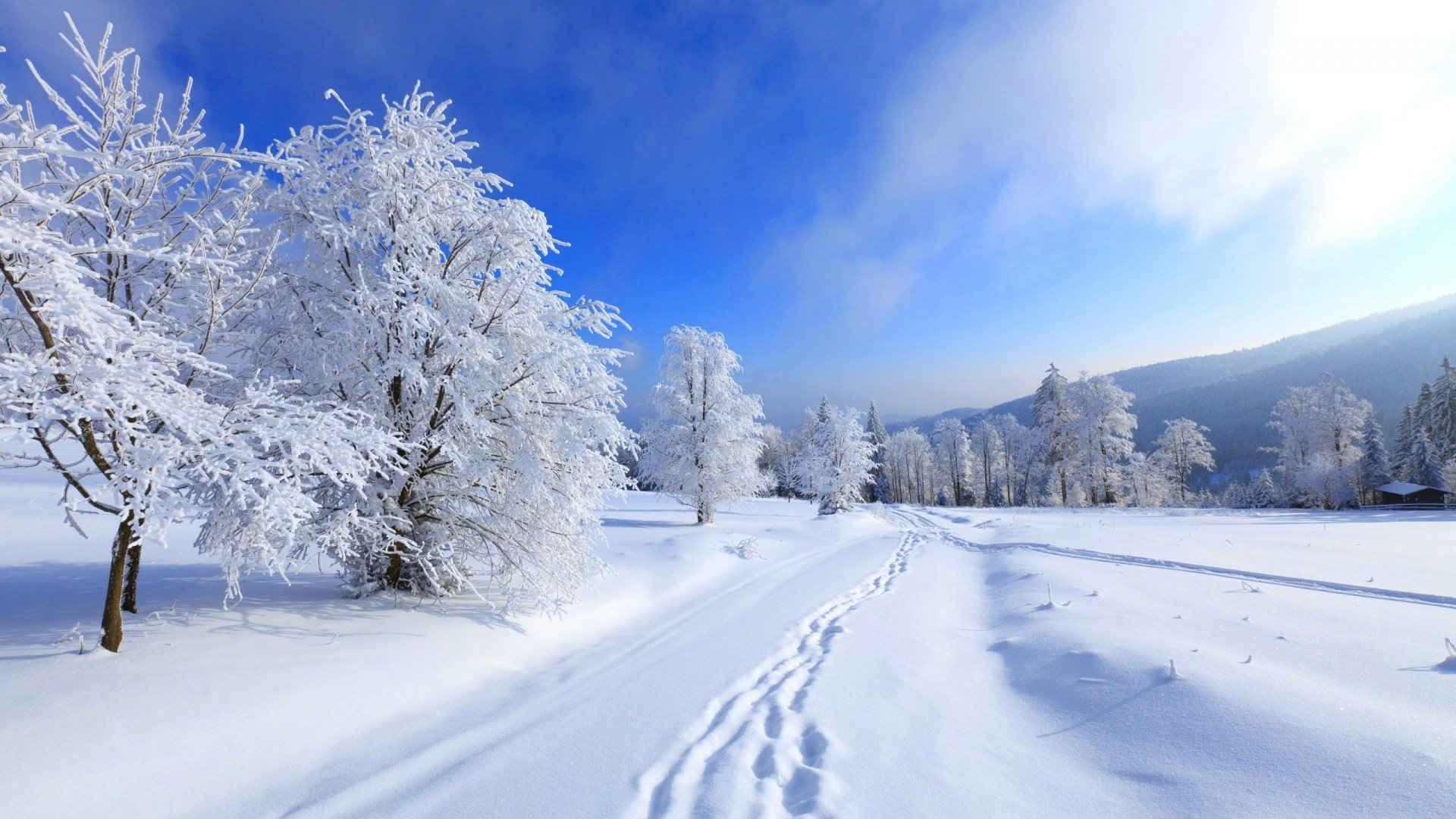 雪乡高清雪景风景壁纸唯美-