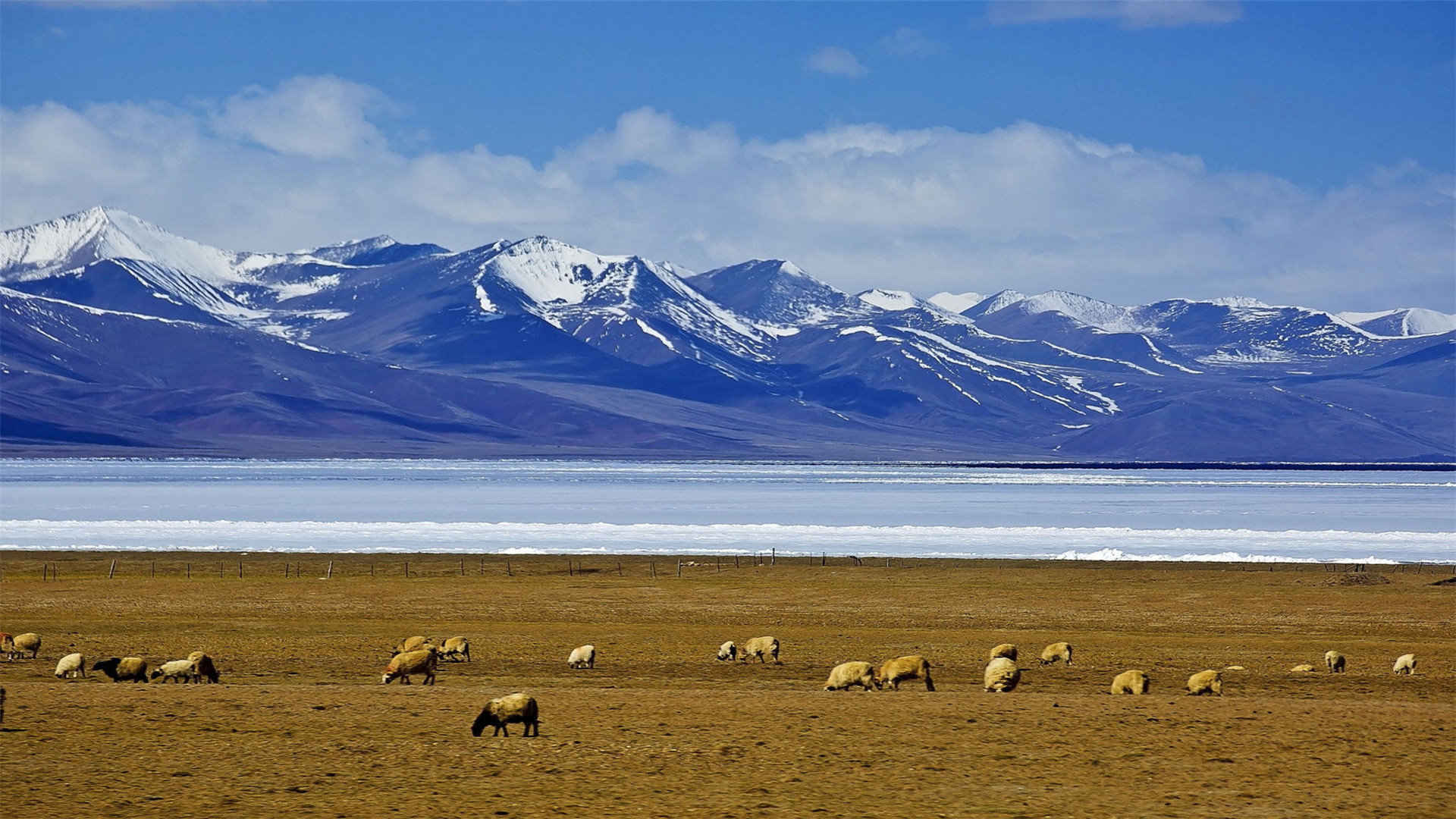 西藏被列入世界自然风光的图片-