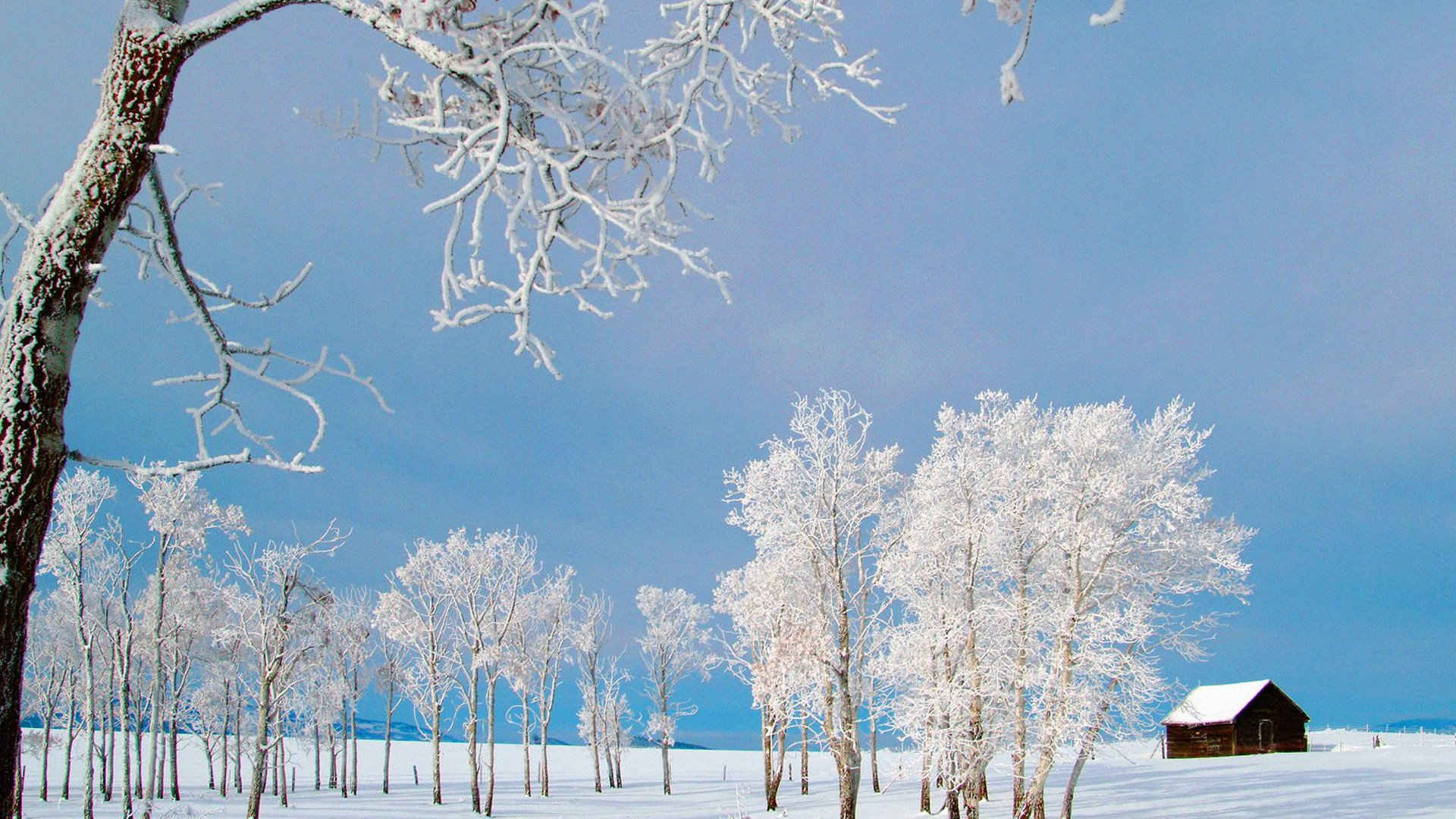 北方初春图片景色大图唯美冬日雪景-