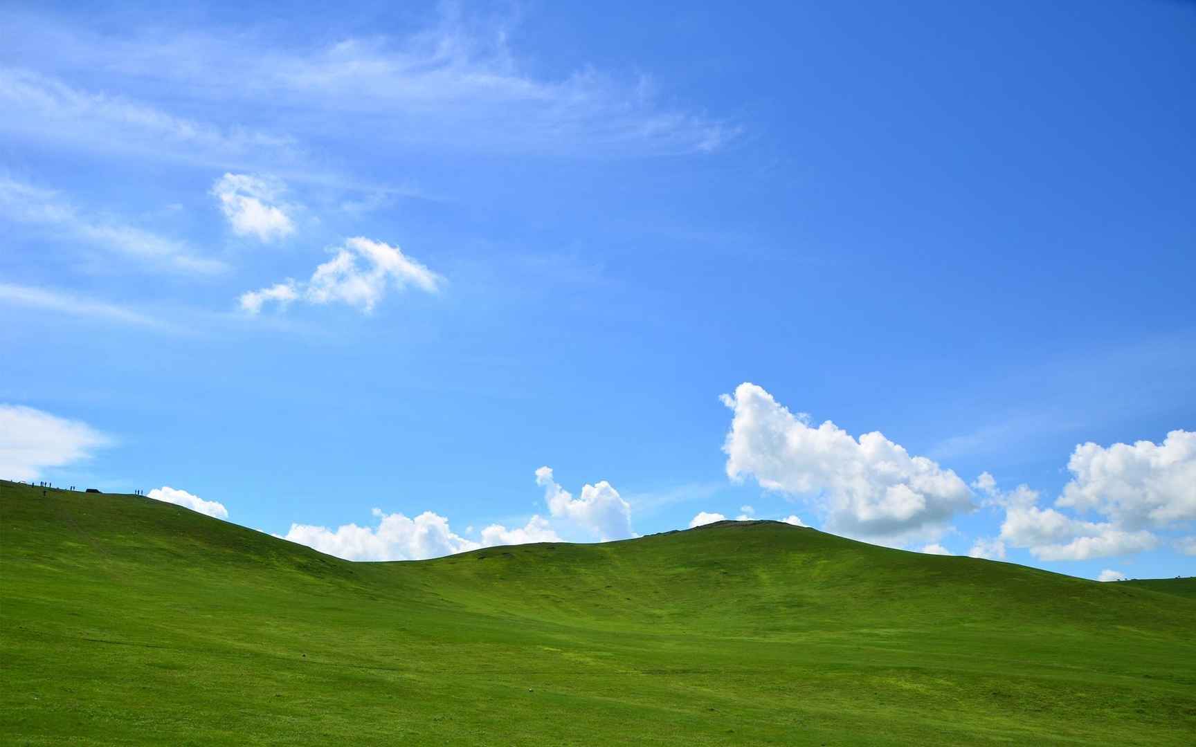 蓝天下呼仑贝尔草原风光电脑壁纸-