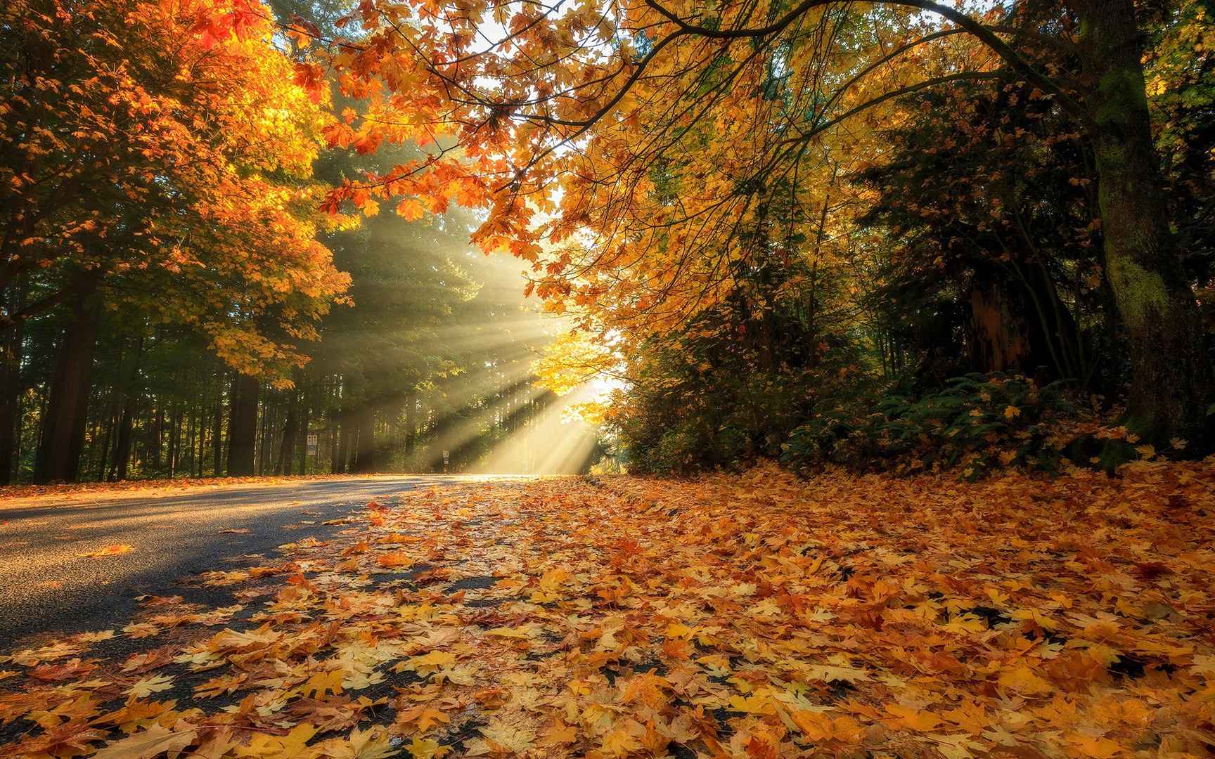 如诗如画秋季风景大全电脑壁纸-
