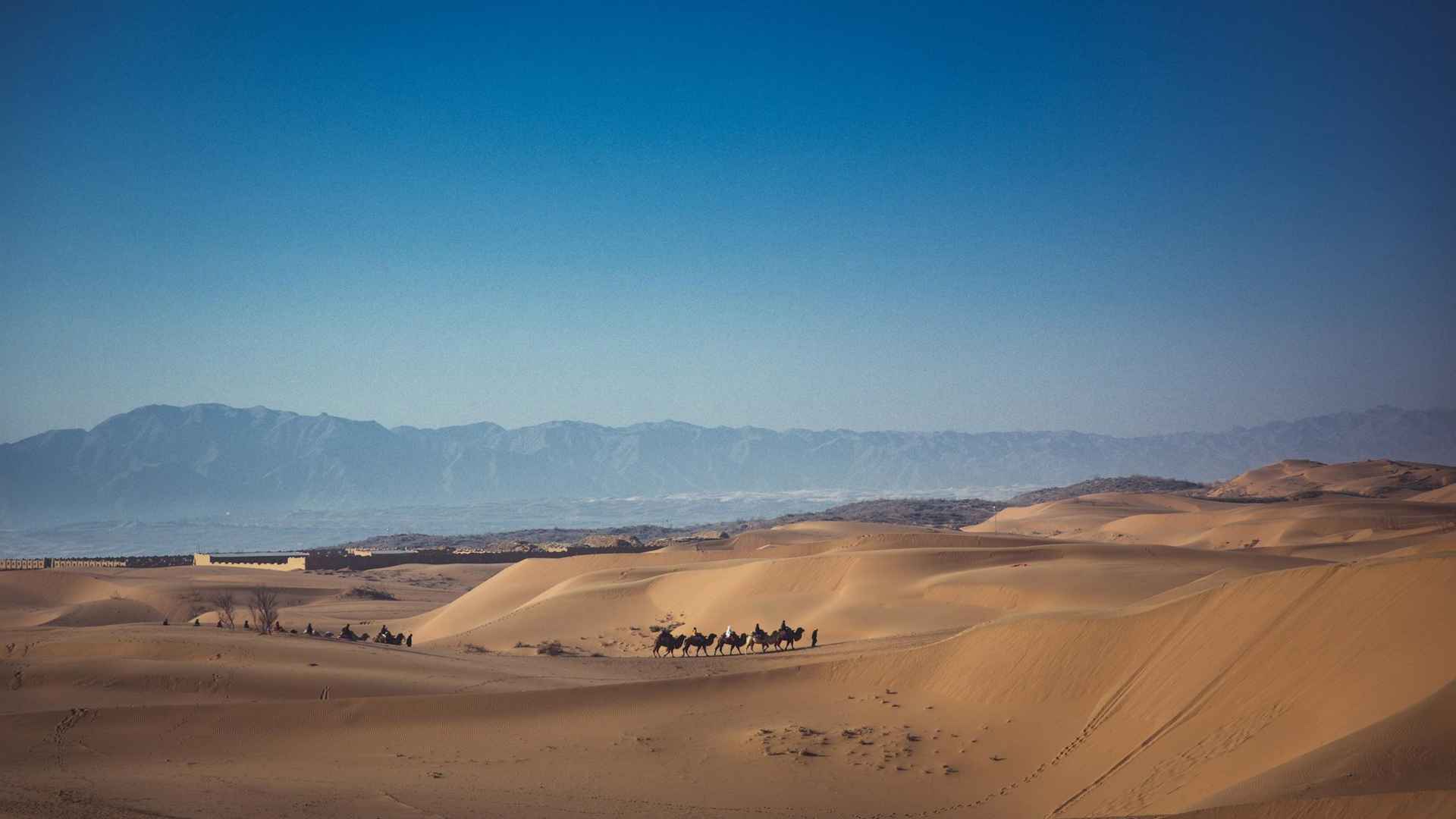 国家级沙漠生态自然保护区沙坡头桌面壁纸-