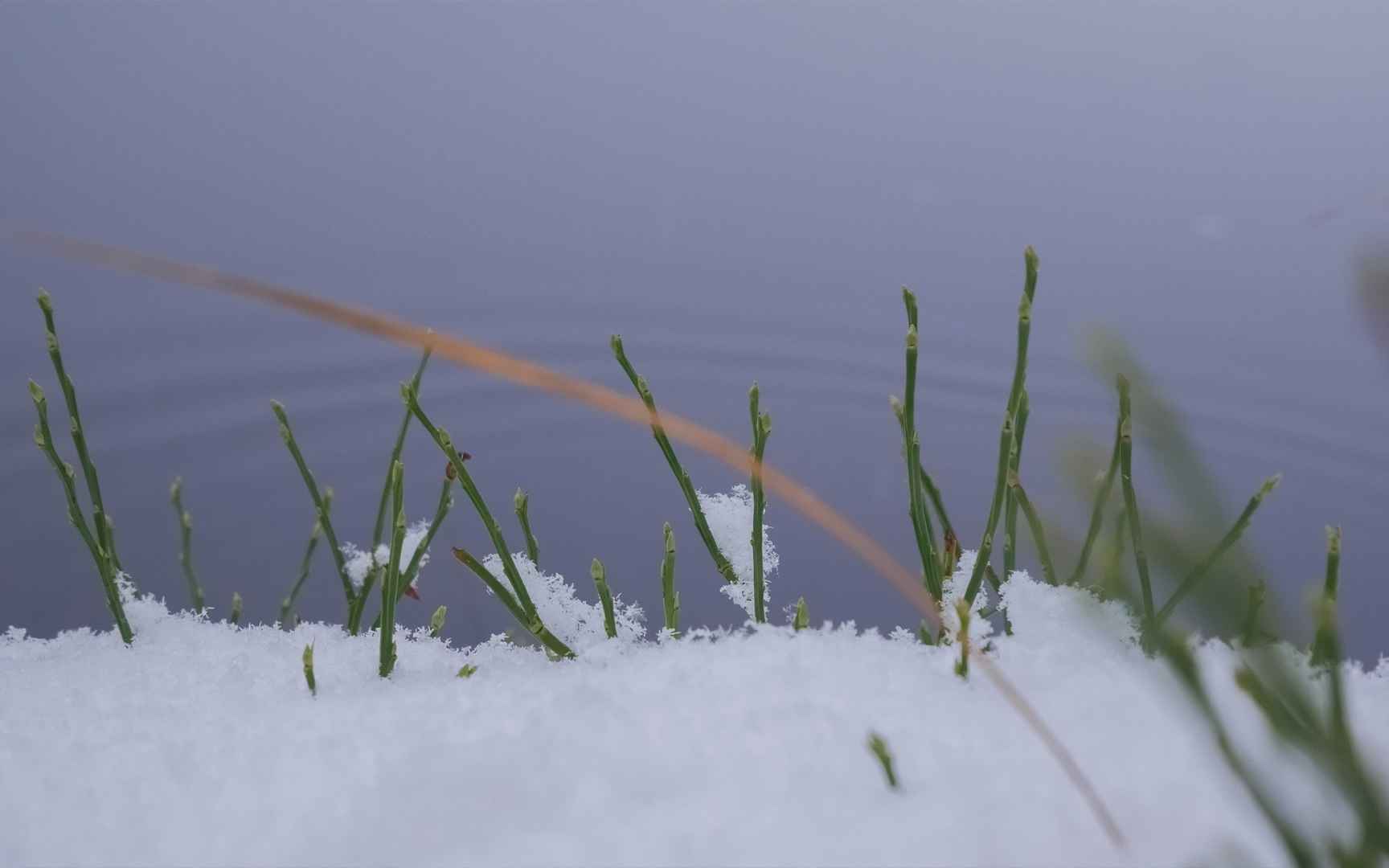 瑞典冬天雪景日系原宿风壁纸-