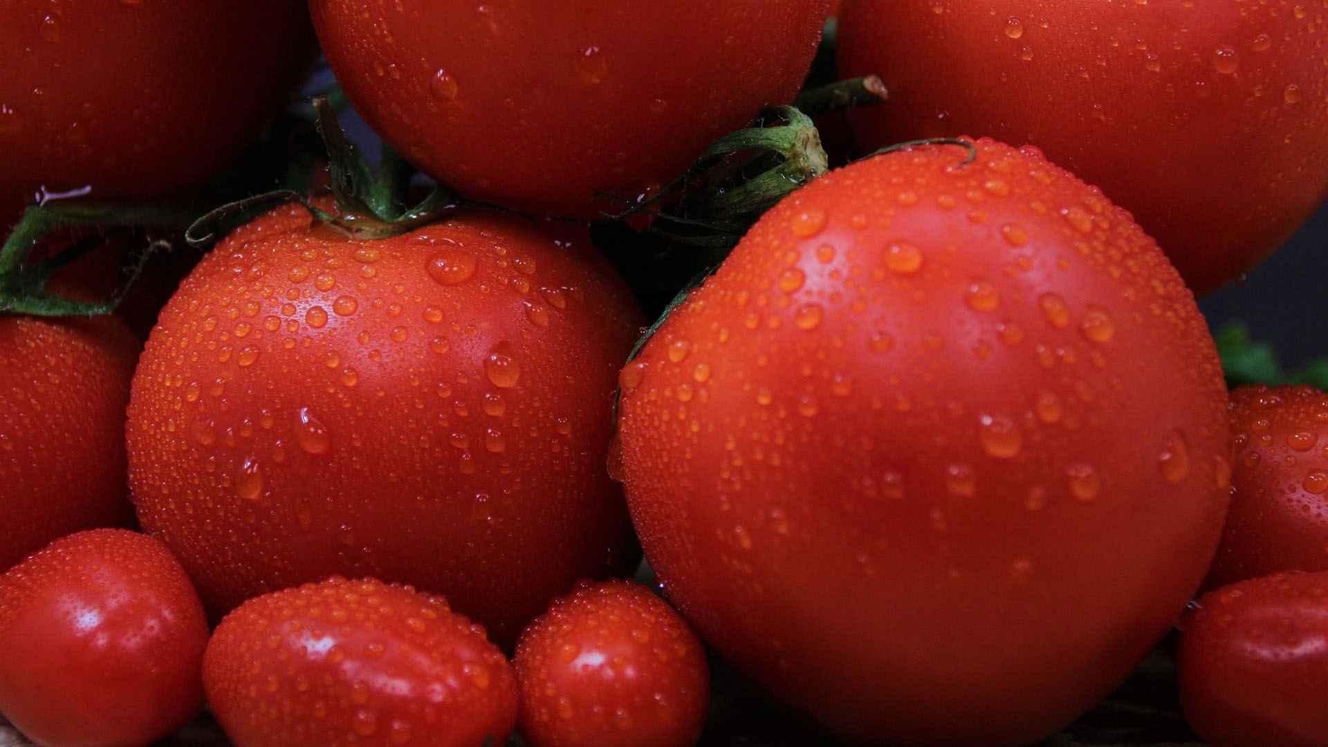 ins超火背景图全屏高清红色美味鲜艳的西红柿