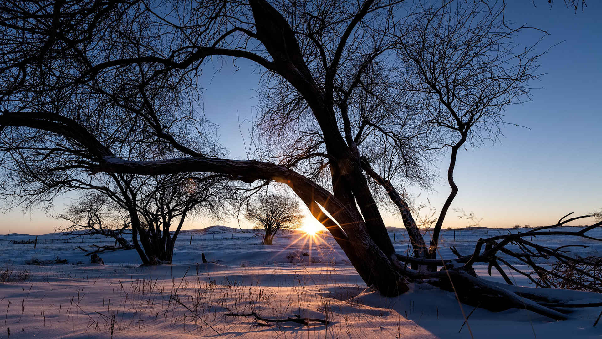 晨曦下雪地美景让人感到舒适的图片-