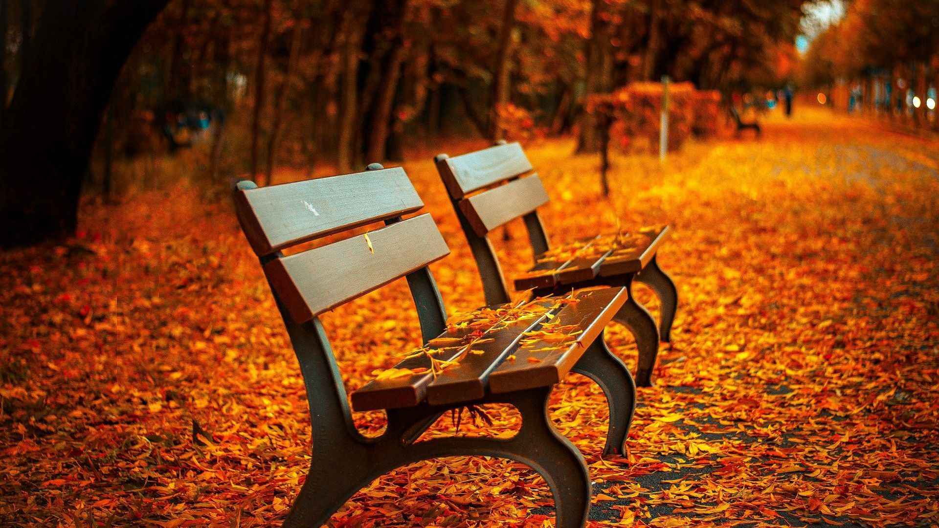 落满枫叶的公园长椅唯美秋景高清桌面壁纸图片-