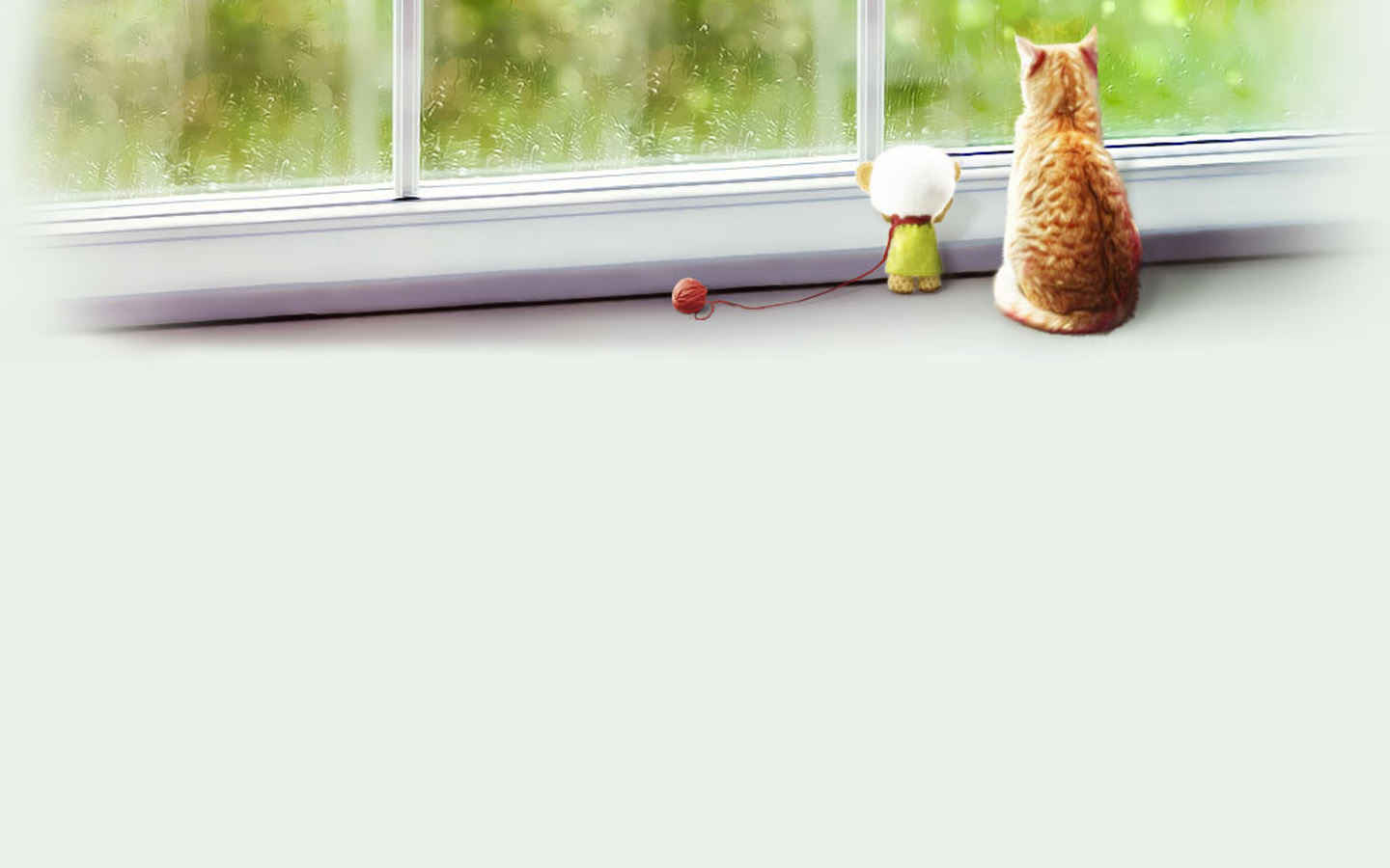 小猫凝望壁纸-