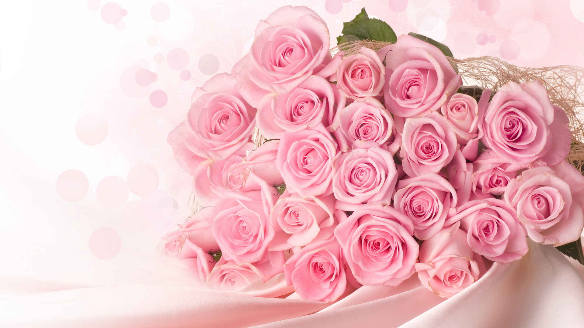 浪漫的柔情的粉色玫瑰花桌面壁纸-