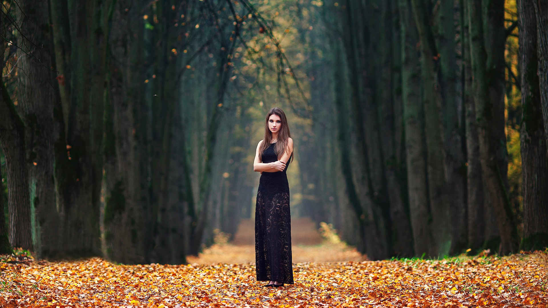 胡同,秋天,树林,叶子,女孩,黑色裙子,壁纸