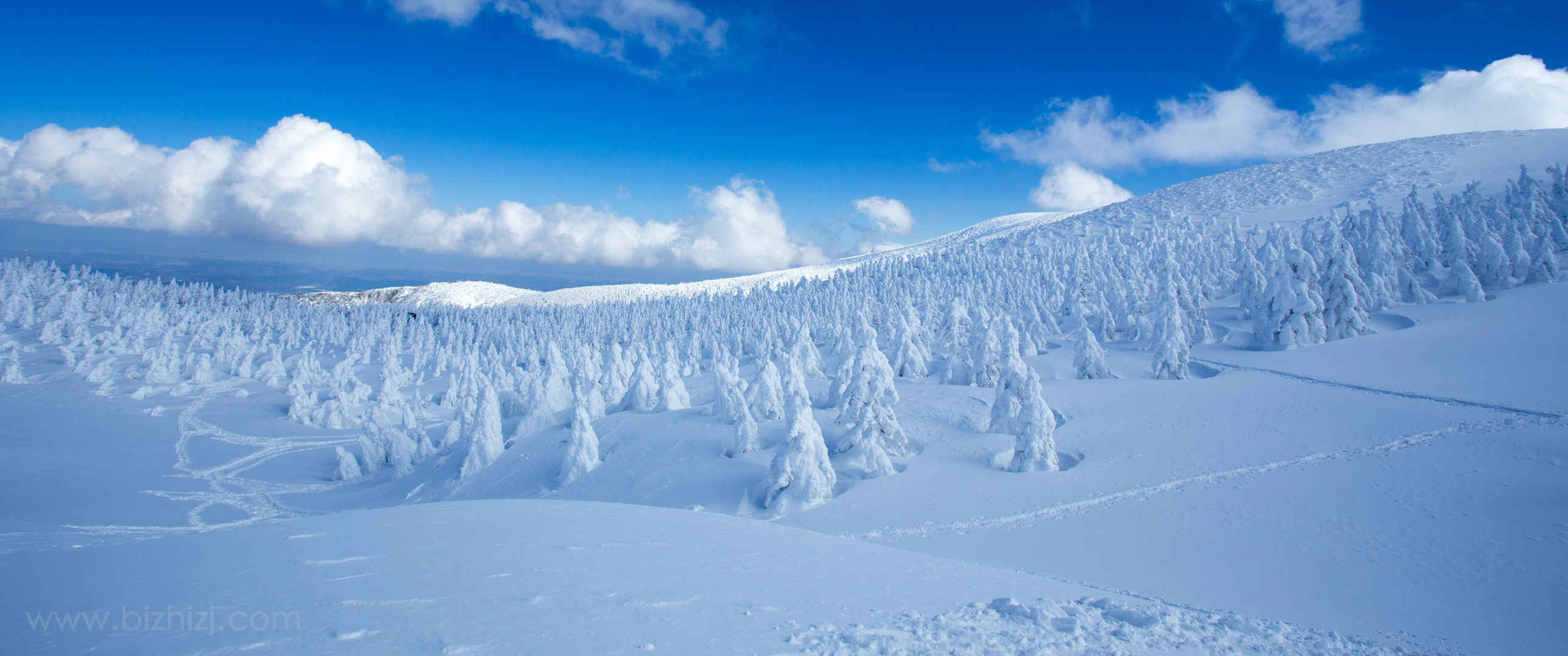 冬天 蓝天 雪景壁纸-