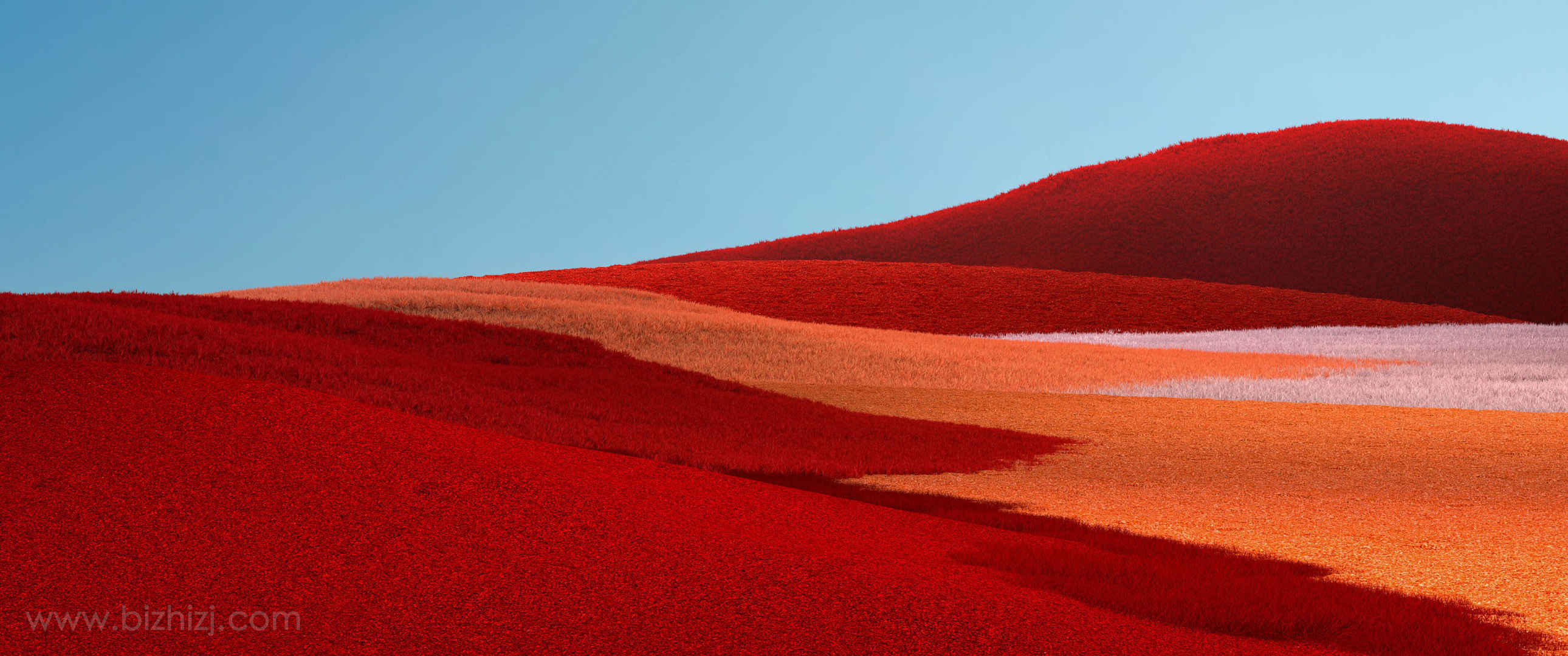 红色草原 蓝天 Surface Pro X壁纸-