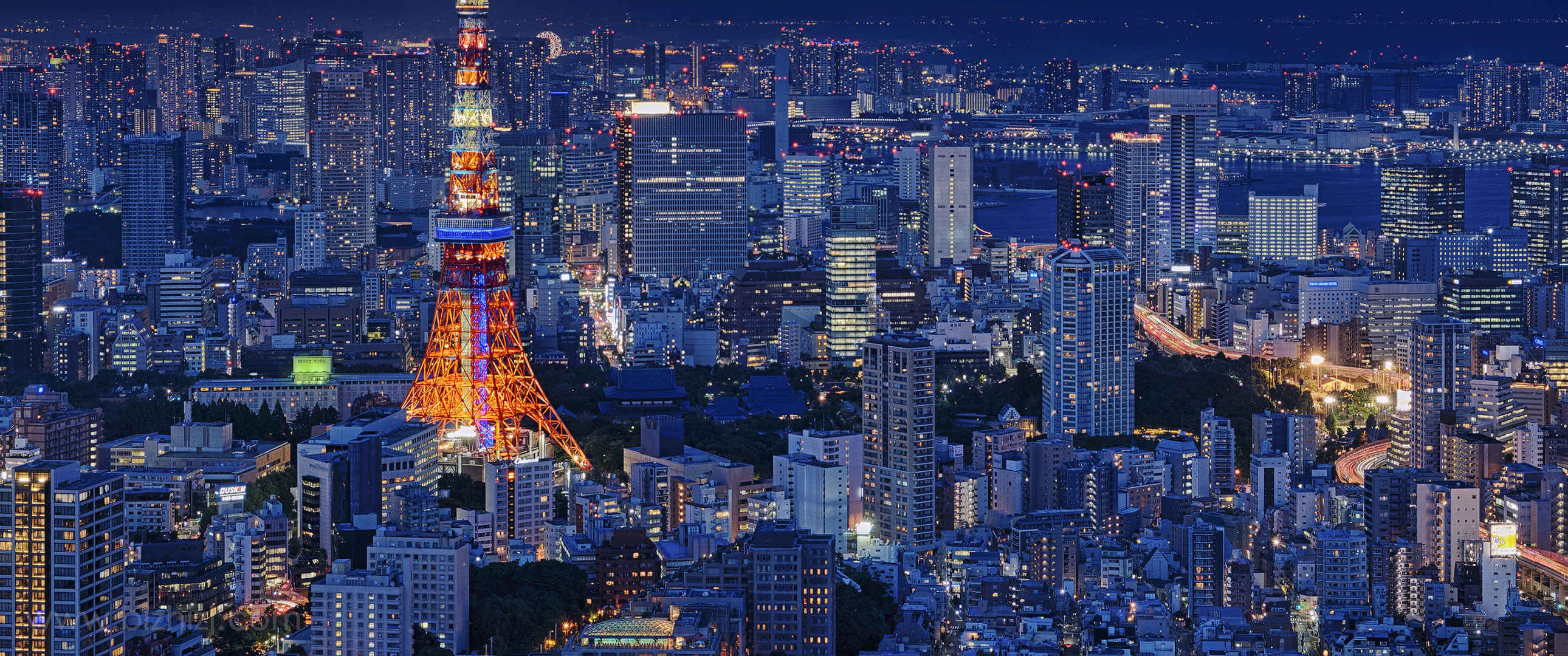 东京塔 城市 夜景壁纸-