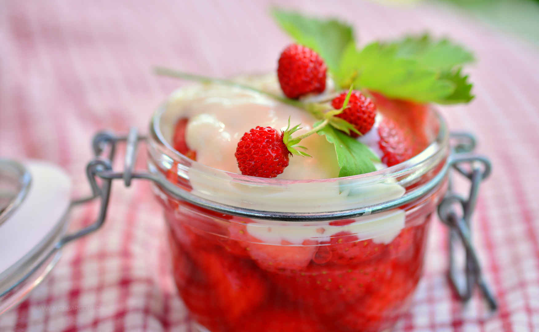 草莓 野草莓 水果 维生素 美味 5K草莓图片-