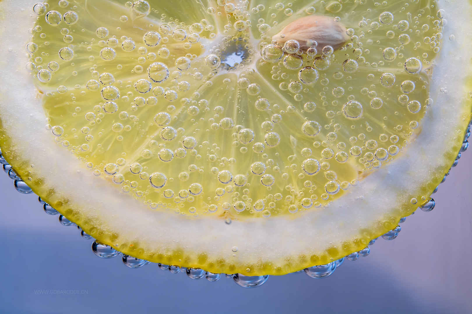 柠檬片 柠檬 小气泡 在水中 湿 珠 珠绣 小食 水果 6K图片