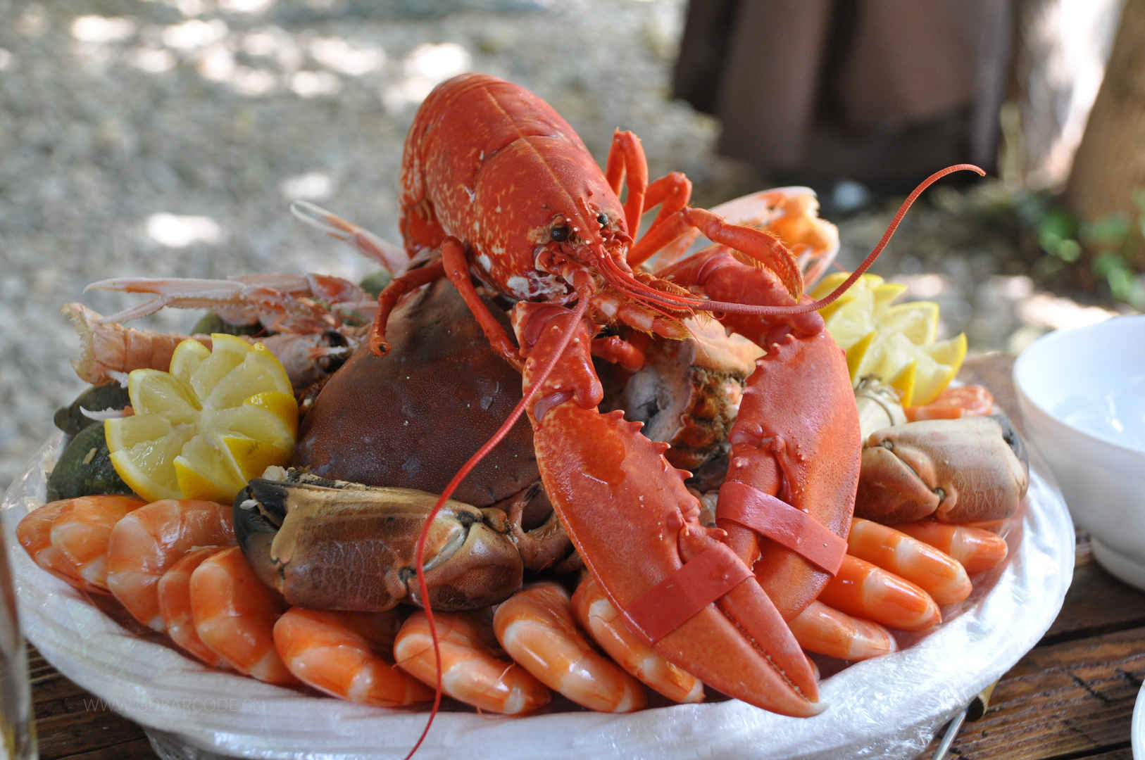 海鲜拼盘 食品 海鲜 龙虾 油渣虾 4K美食图片
