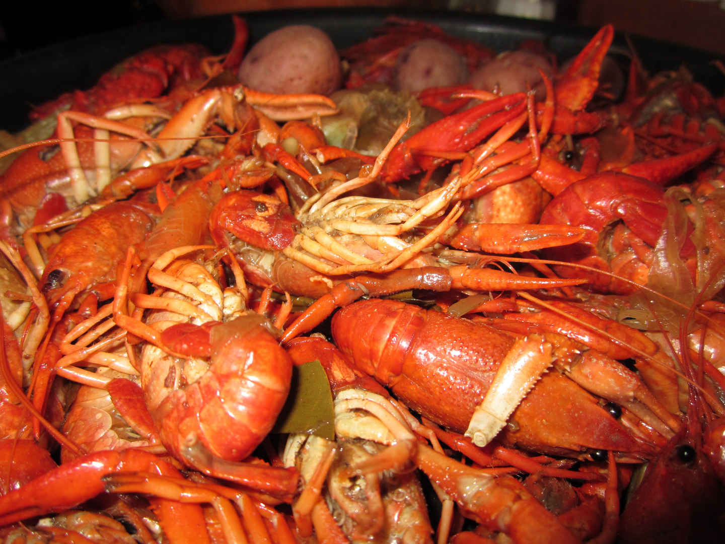 小龙虾 水煮 新奥尔良 海鲜 小龙虾4K美食图片-