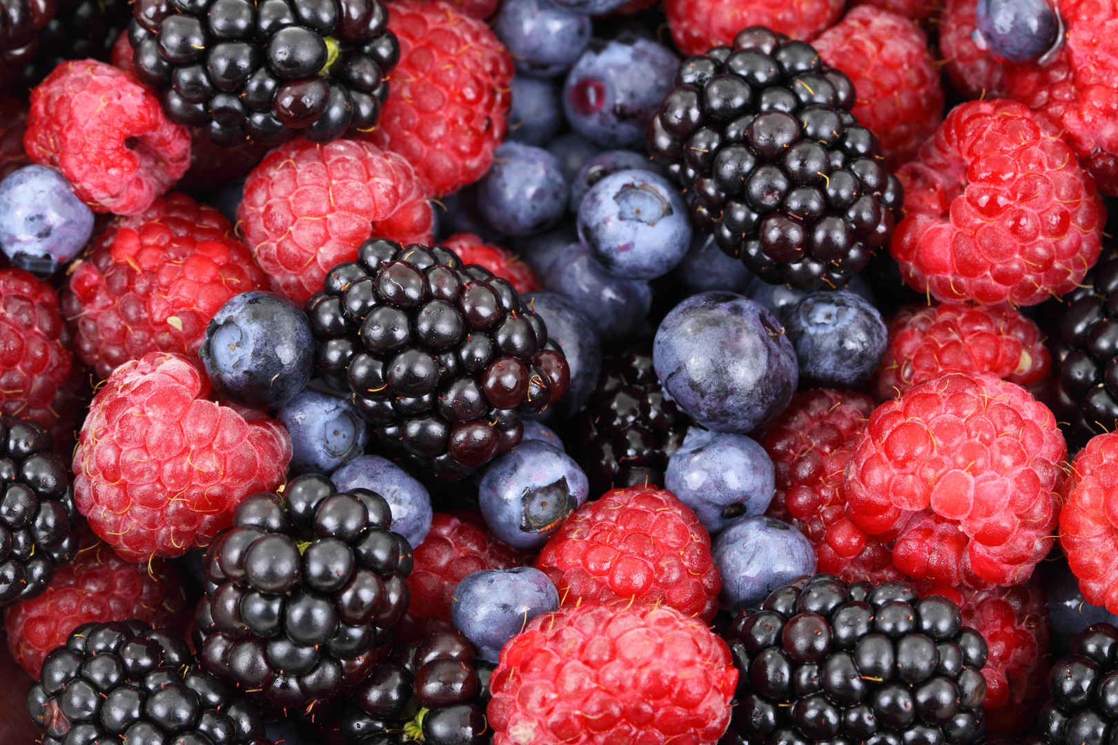 黑莓 蓝莓 森林 新鲜 水果 4K图片