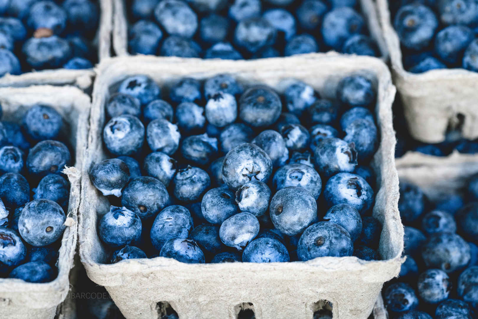 蓝色 蓝莓  水果  甜点 4K图片