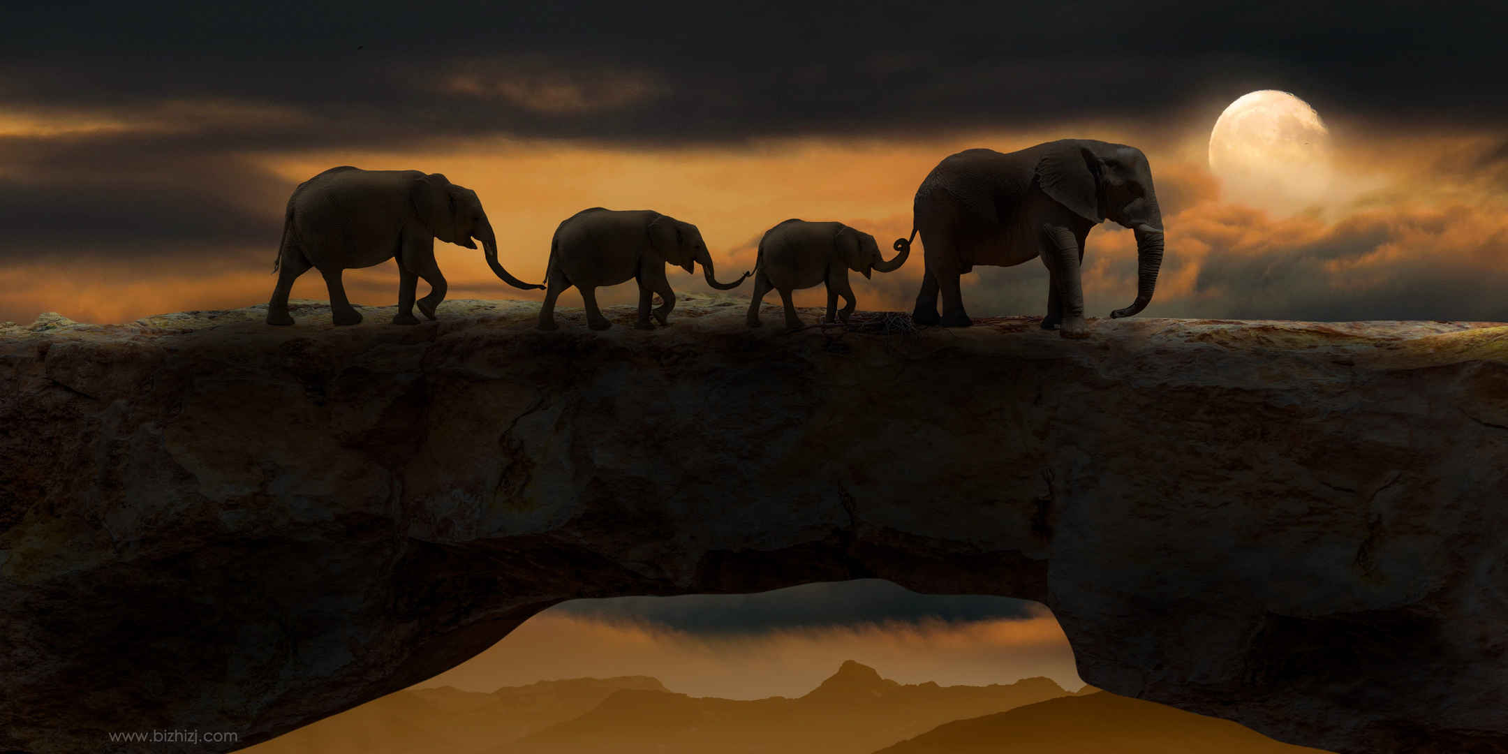 大象 动物 岩桥 天然桥 夜 晚上 黑暗 月亮 自然 4k动物图片-