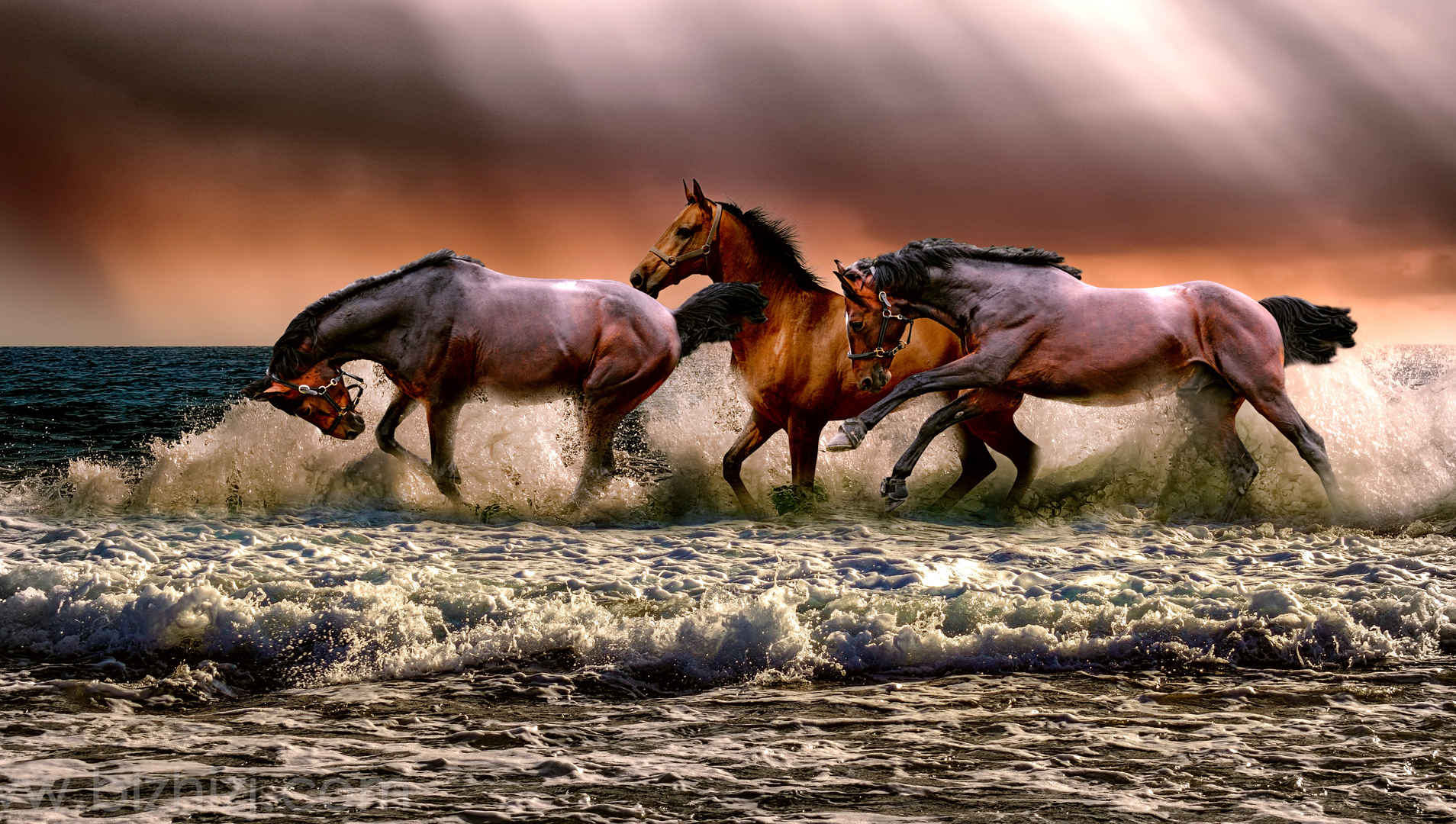 海边 海水 海滩 三匹马5k图片
