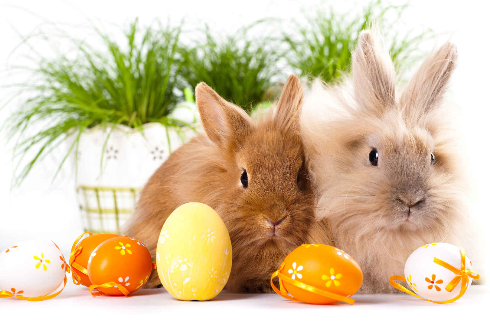 复活节 可爱兔子 彩蛋 4K壁纸