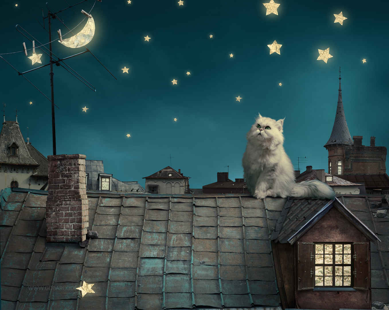 波斯白猫 小猫 童话 幻想 晚上屋顶 房子 天空图片-