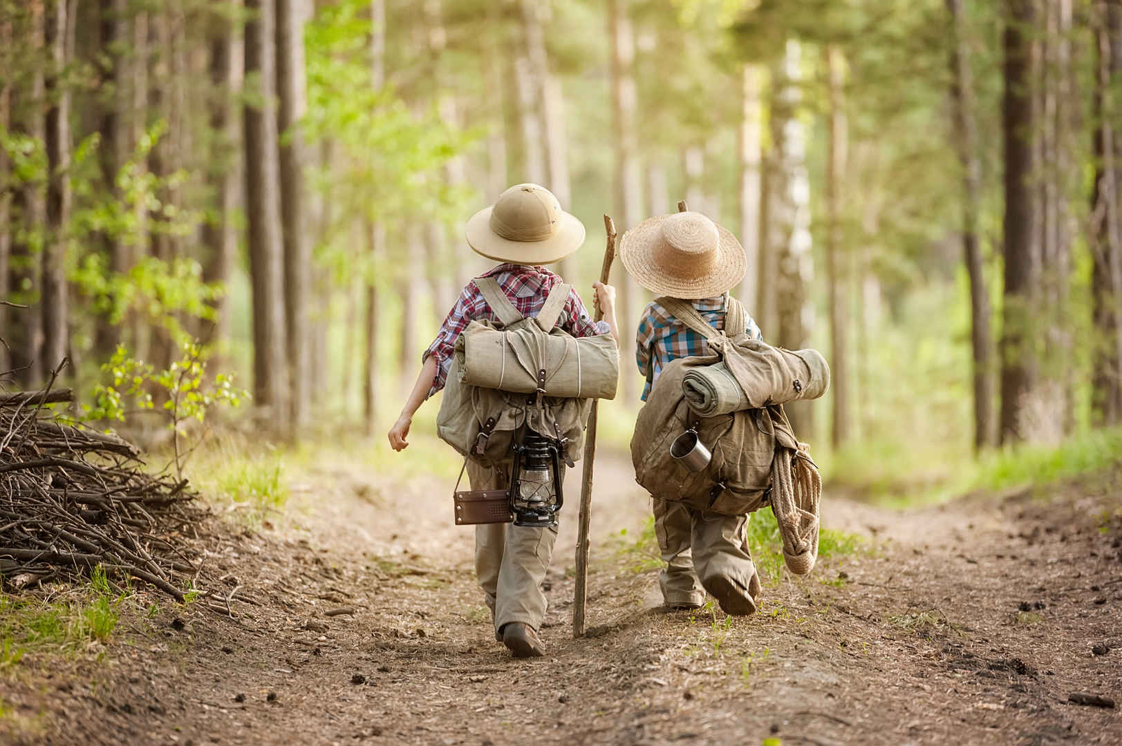 两个男孩背着背包徒步旅行在森林大道上阳光明媚的日子4k壁纸-
