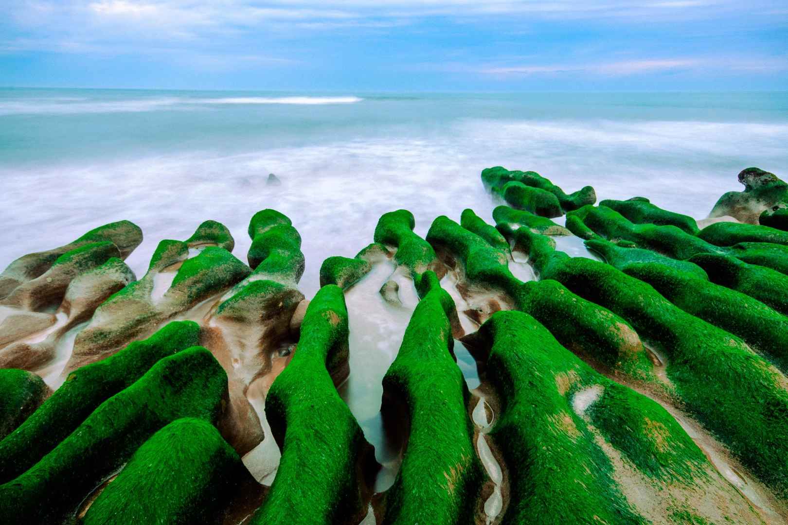 长满青苔的海边礁石，如纹理般被海浪的礁石唯美壁纸图片-