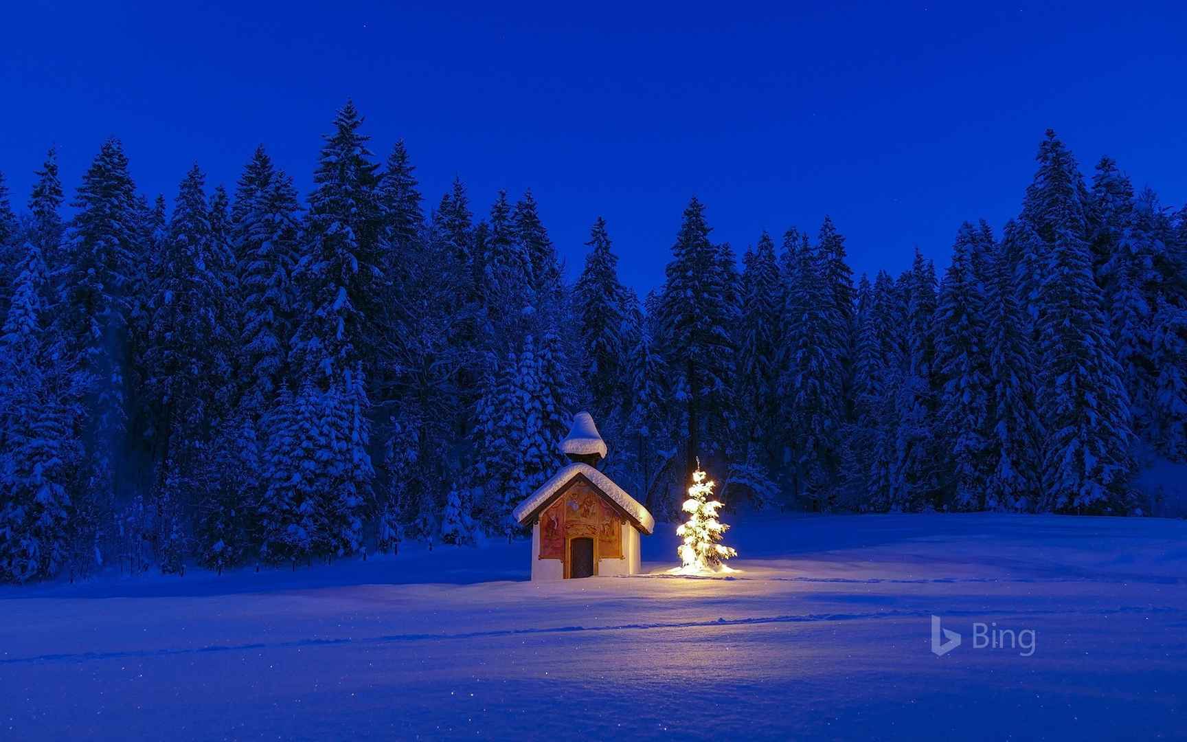 雪山山林中的一座小屋和小屋前的圣诞树-
