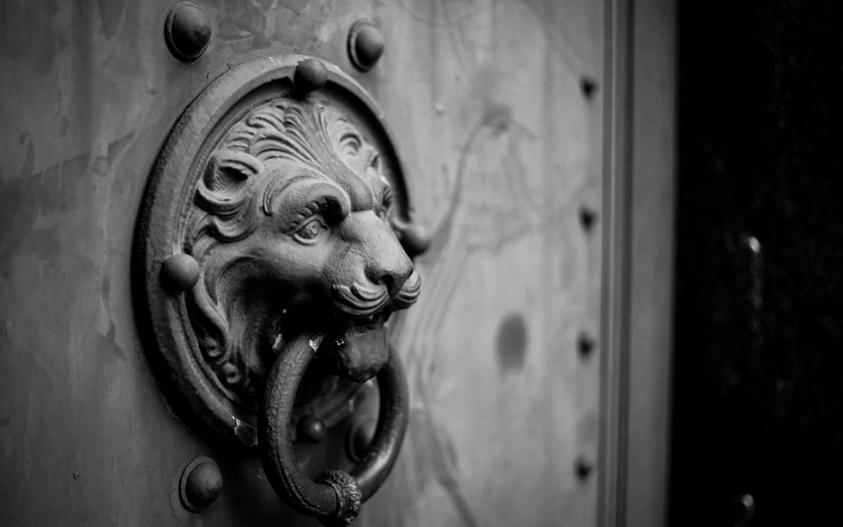 古代门上的狮头拉手摄影电脑壁纸-