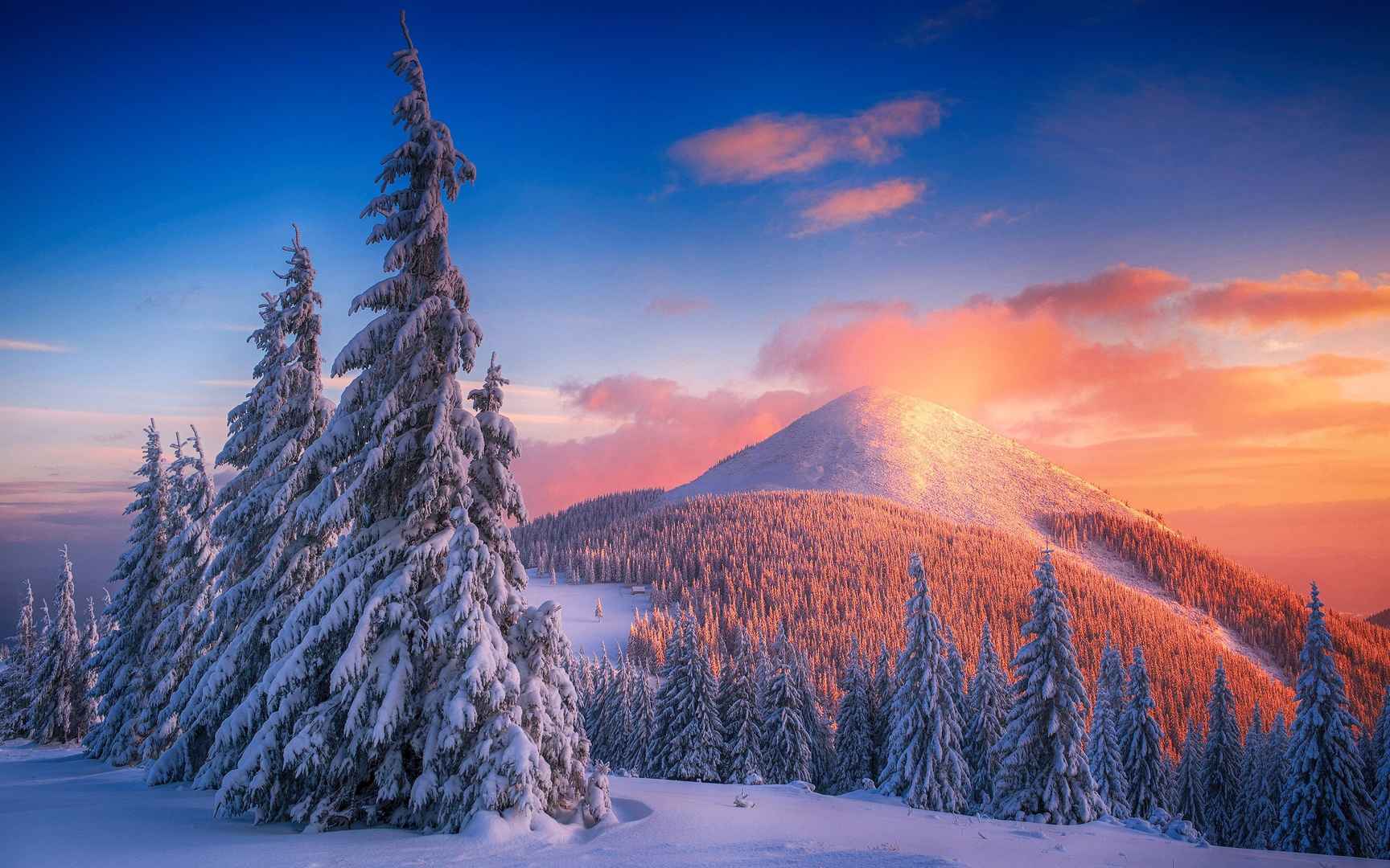 落日雪山，披满雪的树木桌面壁纸-