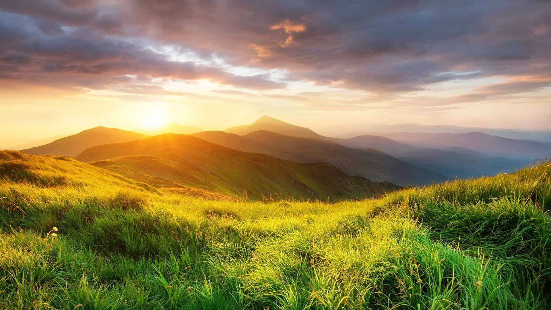 夕阳照在满是绿草的山脉唯美风景壁纸-