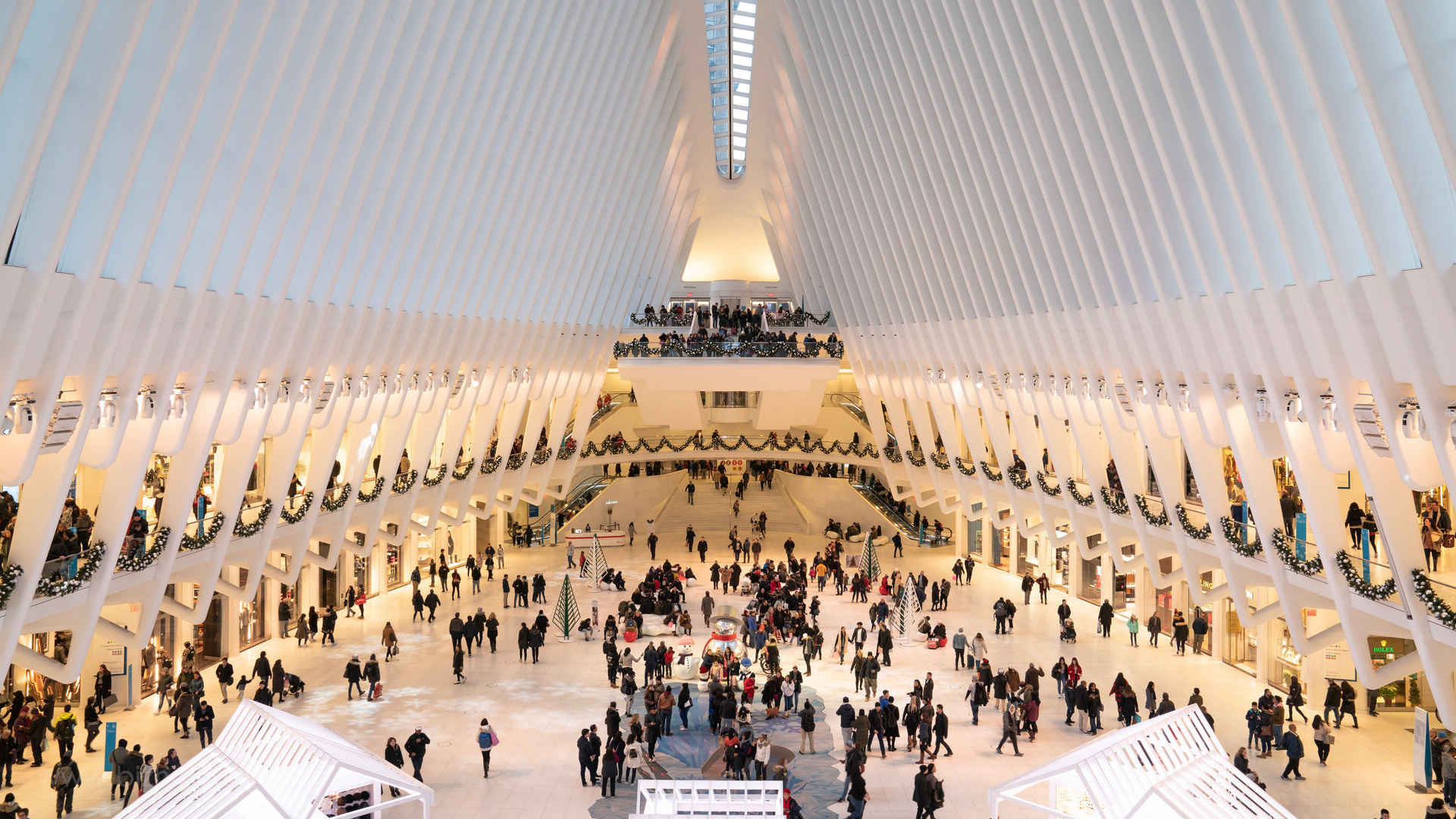 纽约世贸中心交通枢纽名建筑风景图片