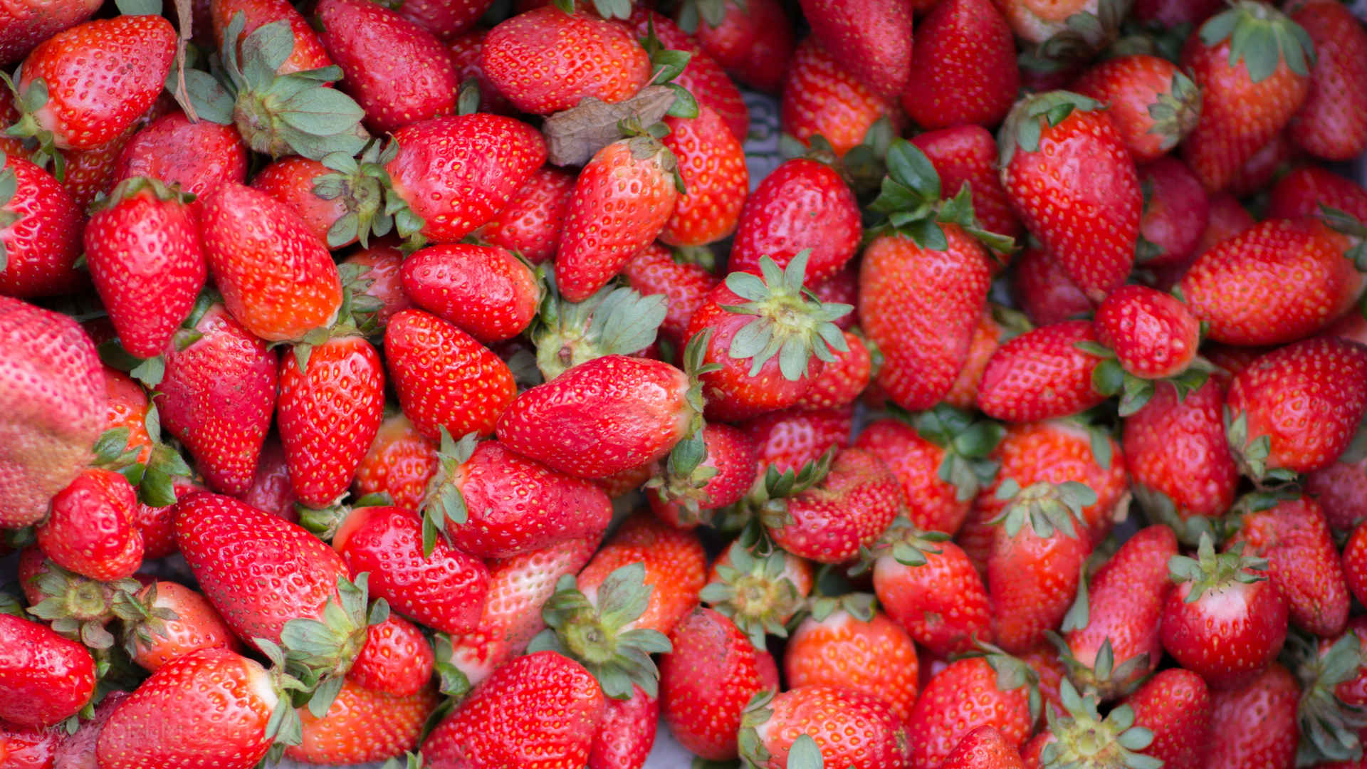 美味可口的草莓高清桌面壁纸-