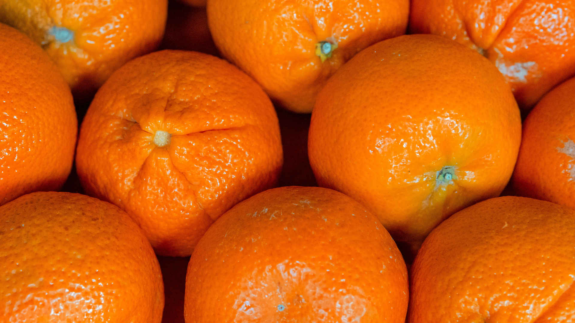 新鲜美味的柑橘图片-