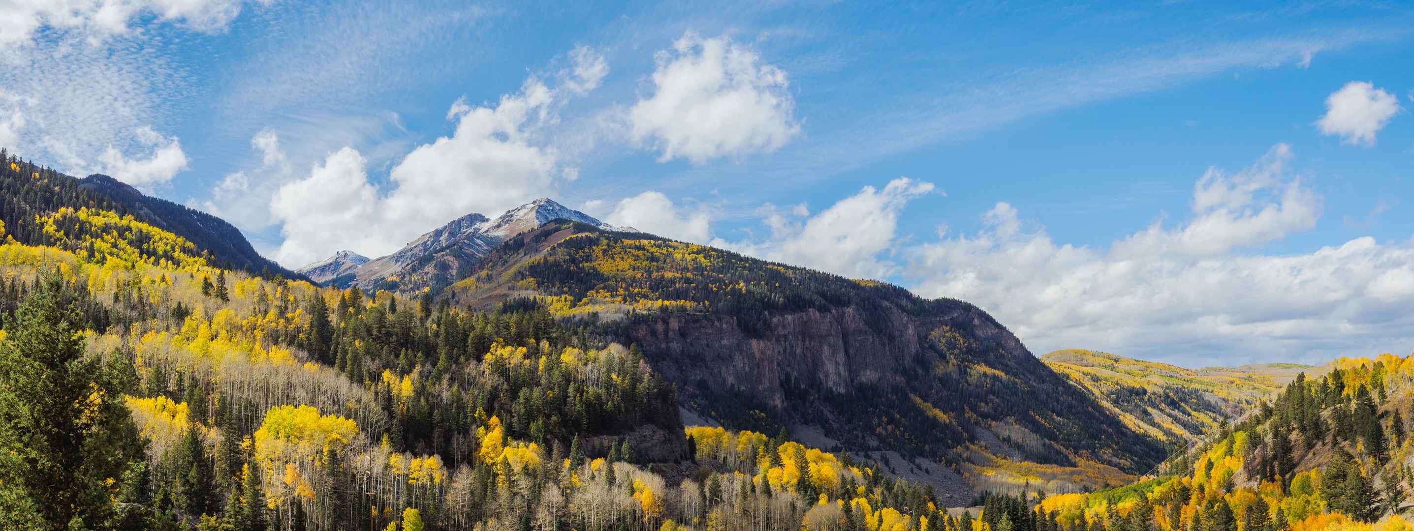 科罗拉多州美国森林山风景自然8K壁纸-