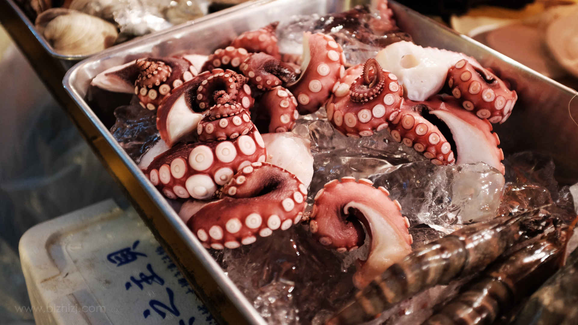 章鱼料理桌面图片
